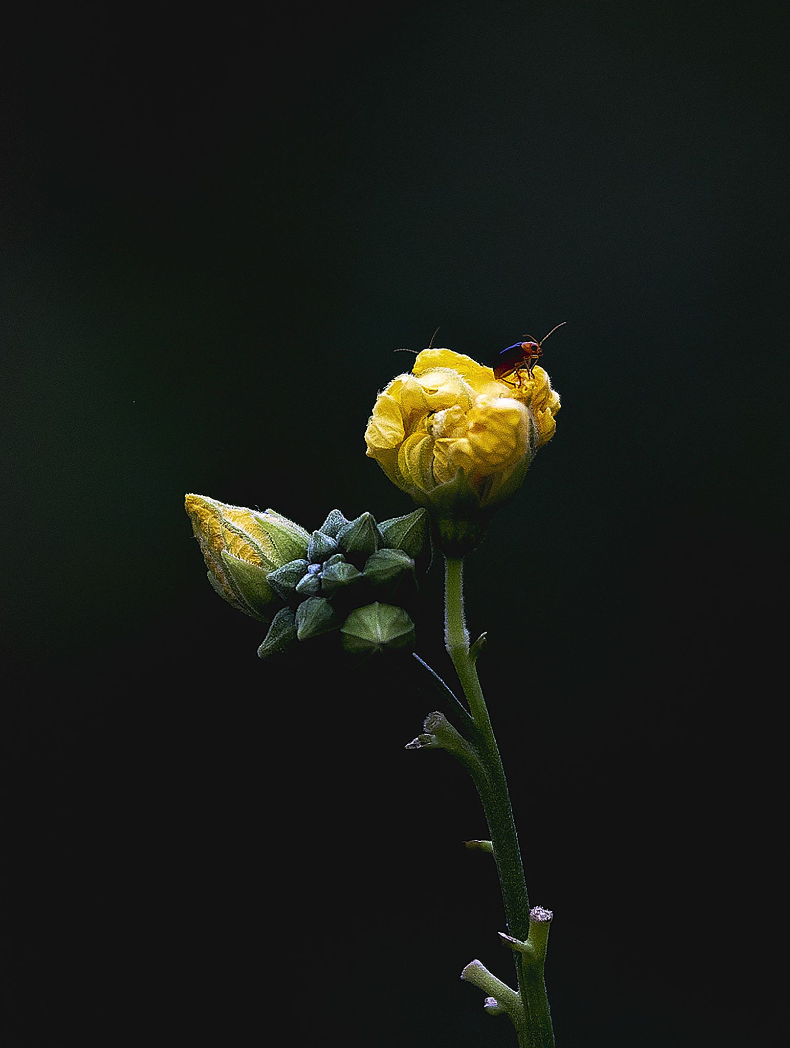 企业工会组建率低原因800字