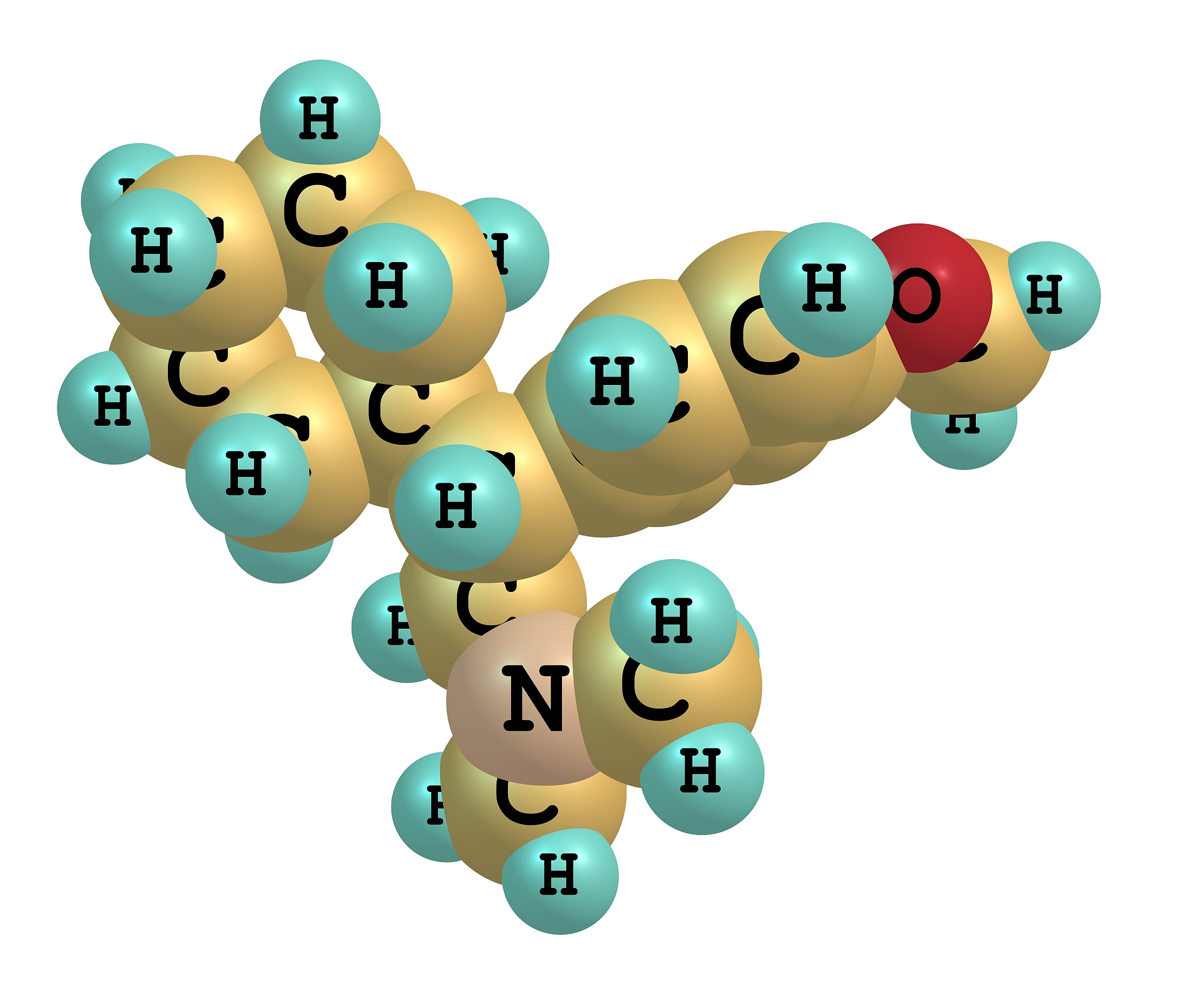 蛋白质、肽、氨基酸的包含关系用表格整理出来