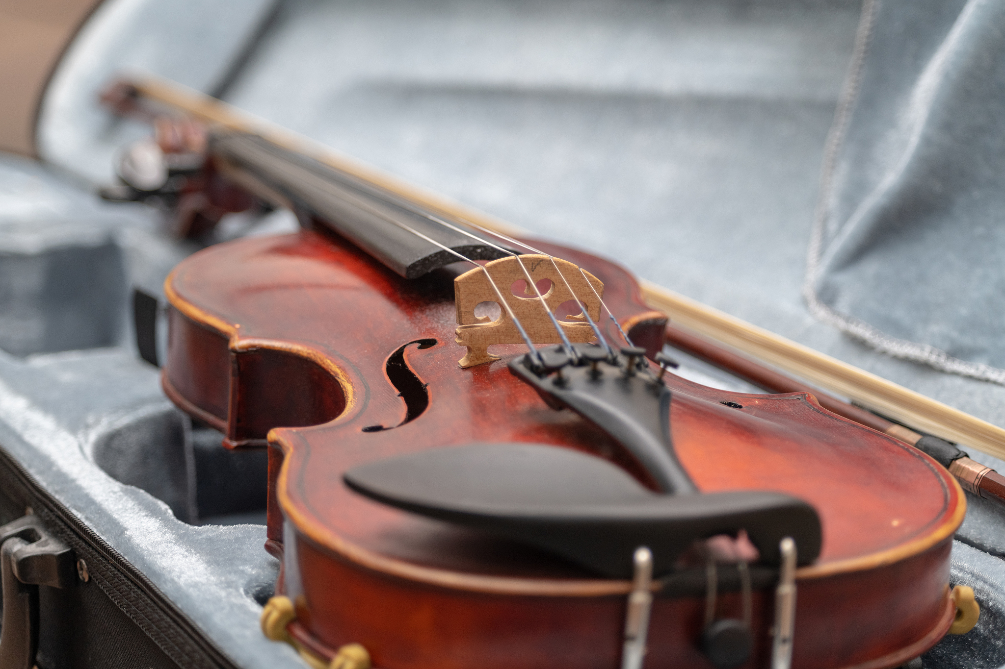 violin in the case