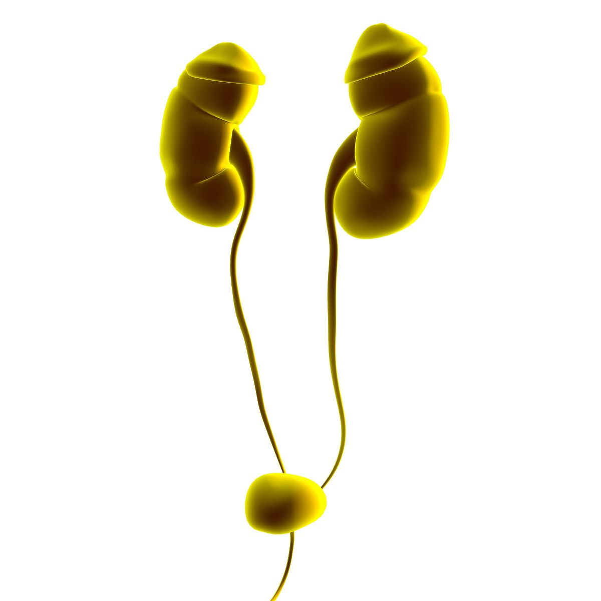 曲靖医学高等专科学校五年制大专2021年有哪些专业