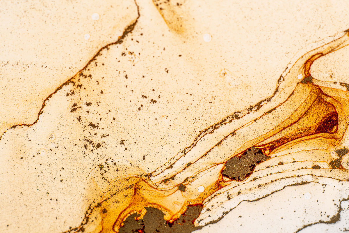 西安职业技术学院中药制药技术专业课程设置：学习内容及发展方向