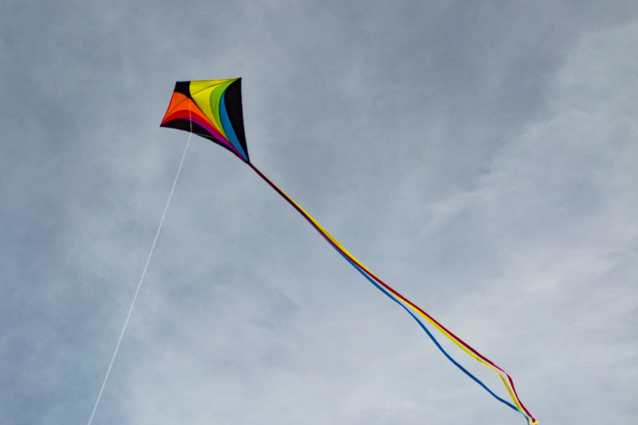 fly a kite