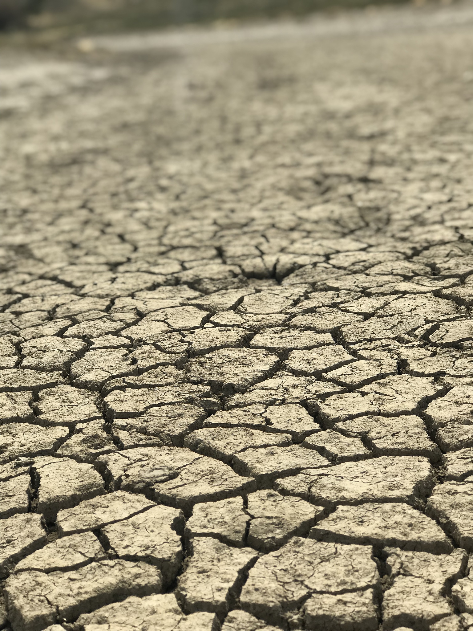 国土资源调查专业发展前景如何？