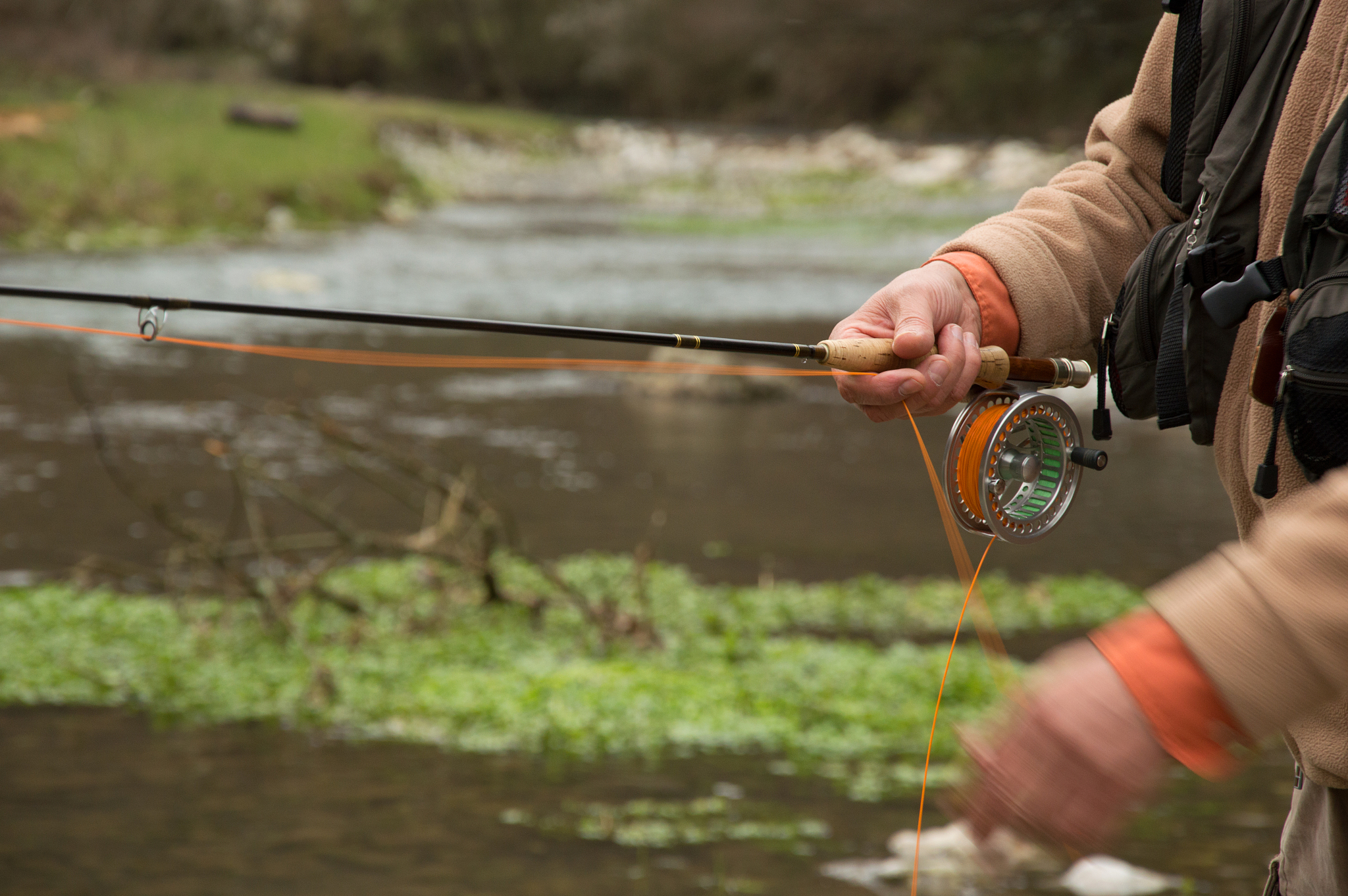 梦到用没有钩子鱼竿钓鱼钓到青蛙回答加拓展。
