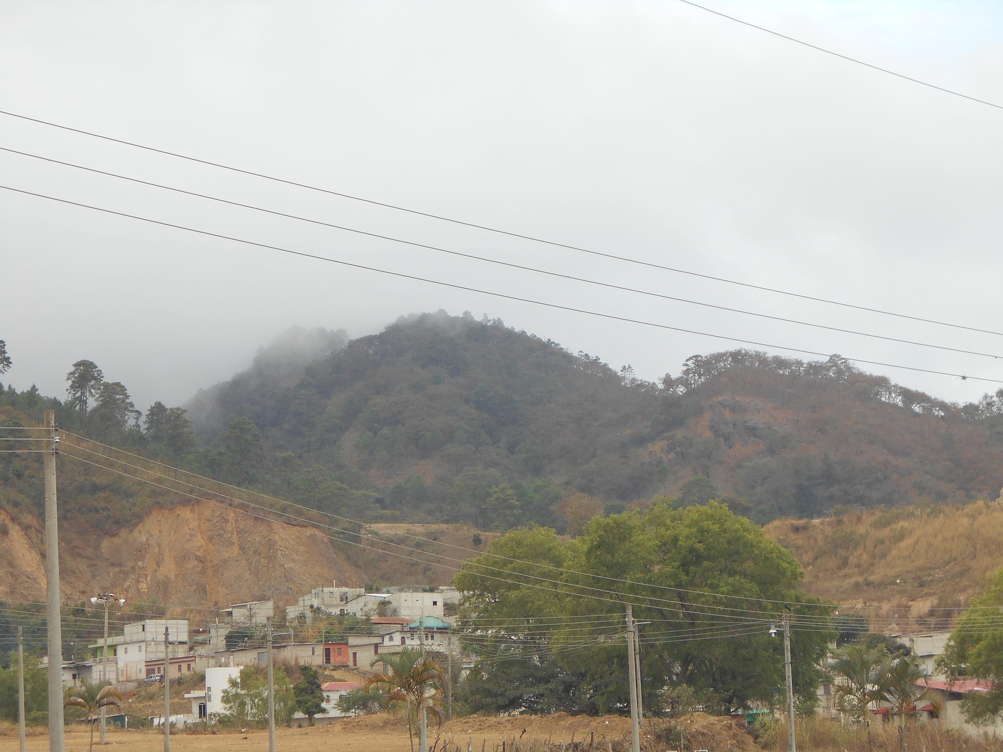 分析团风县方高坪镇防疫隔离点所在区域生态资源类型、数量、空间分布等情况如有无侵占重要山体、公益林、河流湖泊、湿地、水库、风景名胜区、饮用水水源保护区等。确需压占是否符合国家和地方法律法规、政策要求