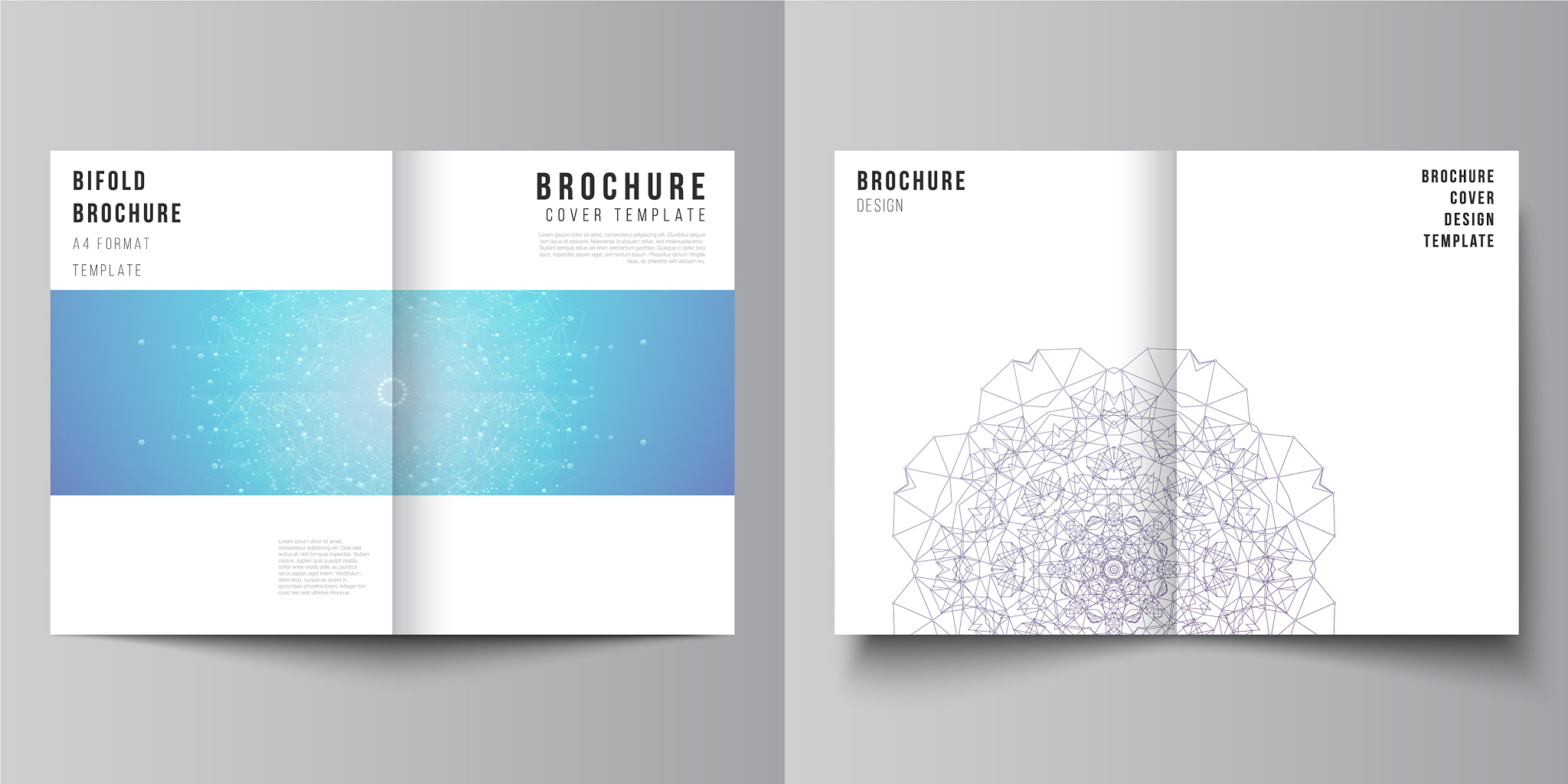 layout two a4 format modern cover