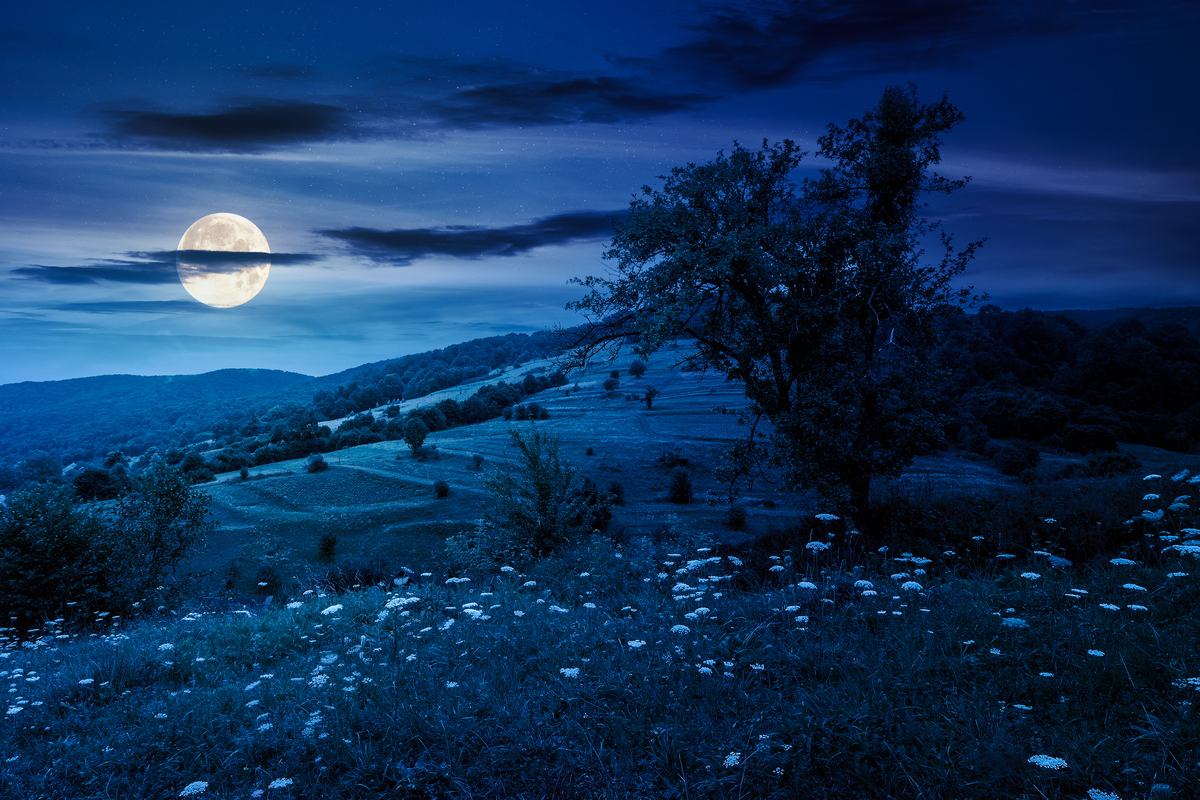 夜幕未开，梦境未醒 - 一首充满诗意的夜之吟唱