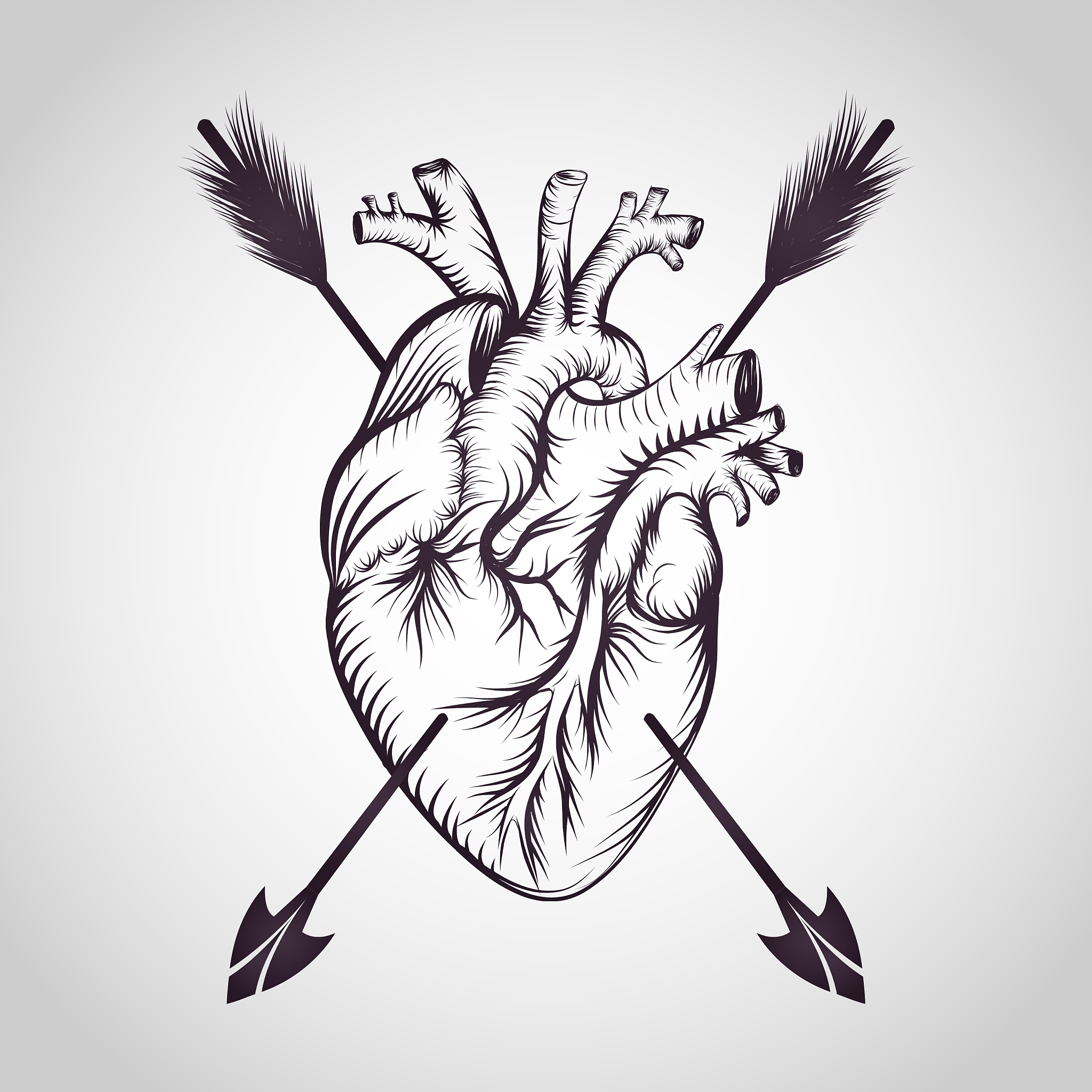 22	试述动物心脏的心室射血与充盈的原理。