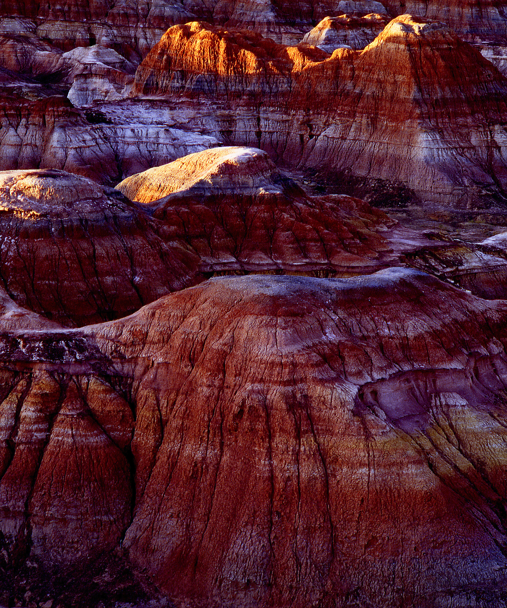 江苏省金坛中等专业学校旅游管理专业介绍