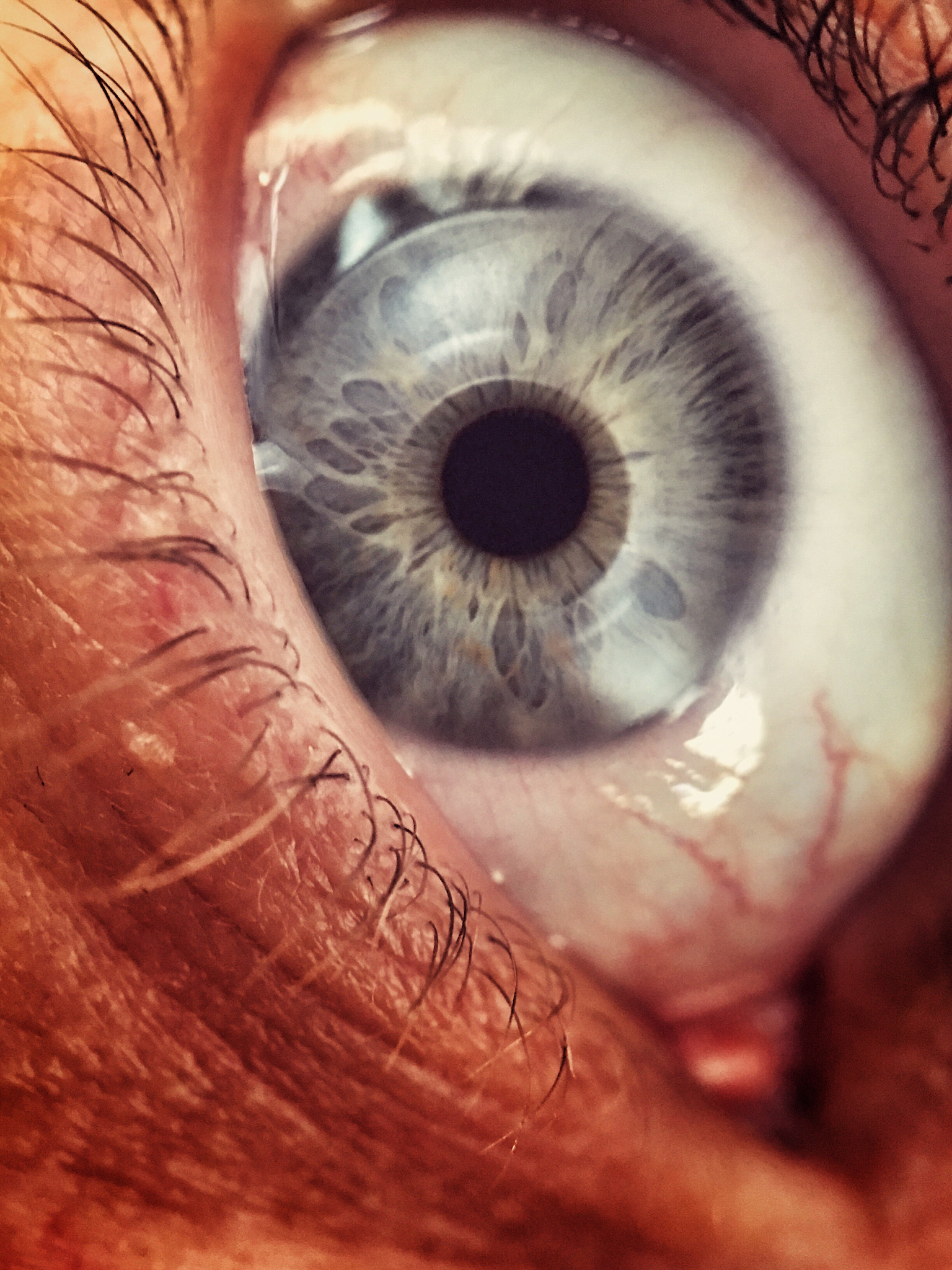 close-up of human eye