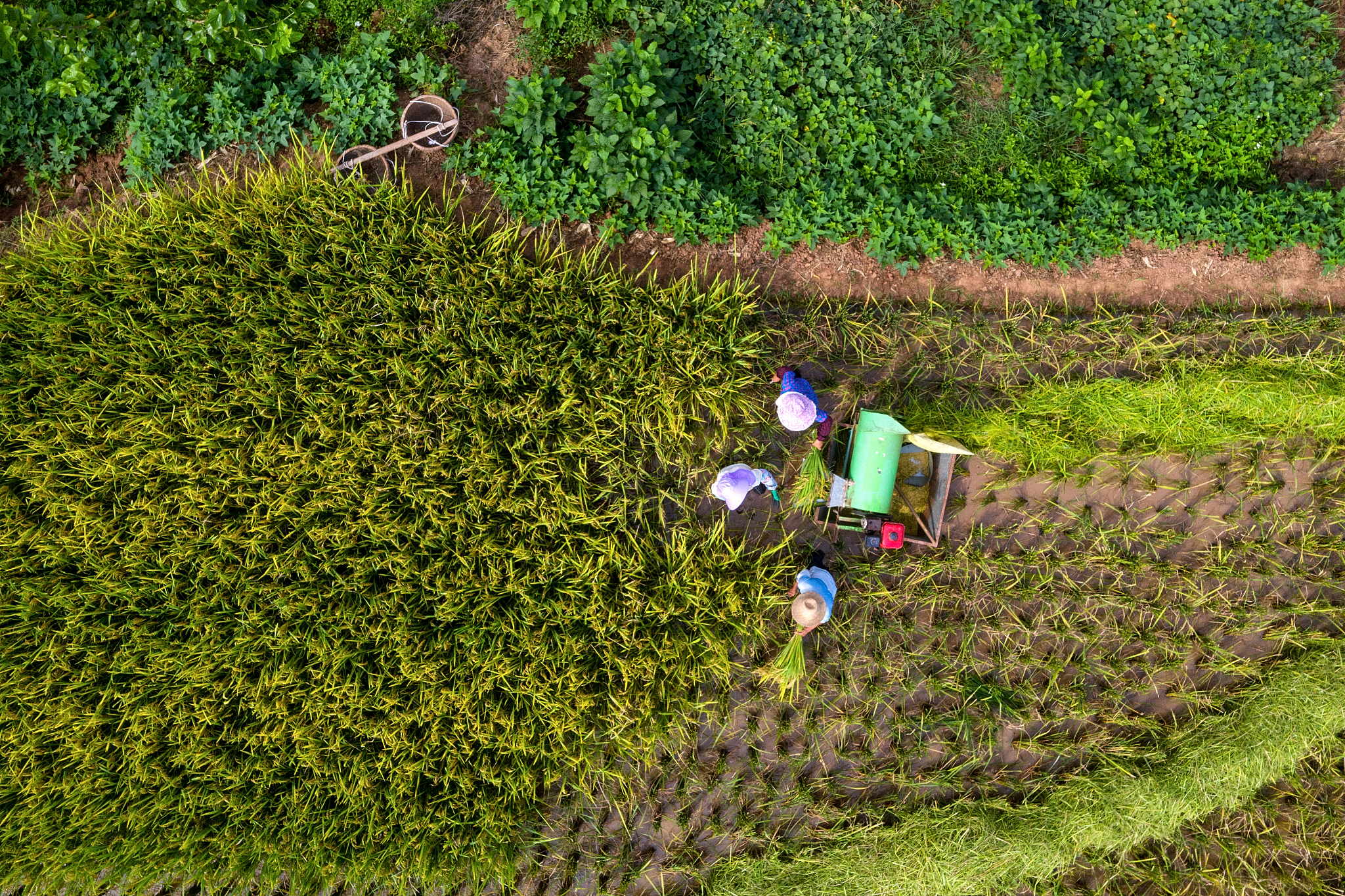 重庆江津聚奎中学校2023年招生简介及简章 - 优质教育，成就未来