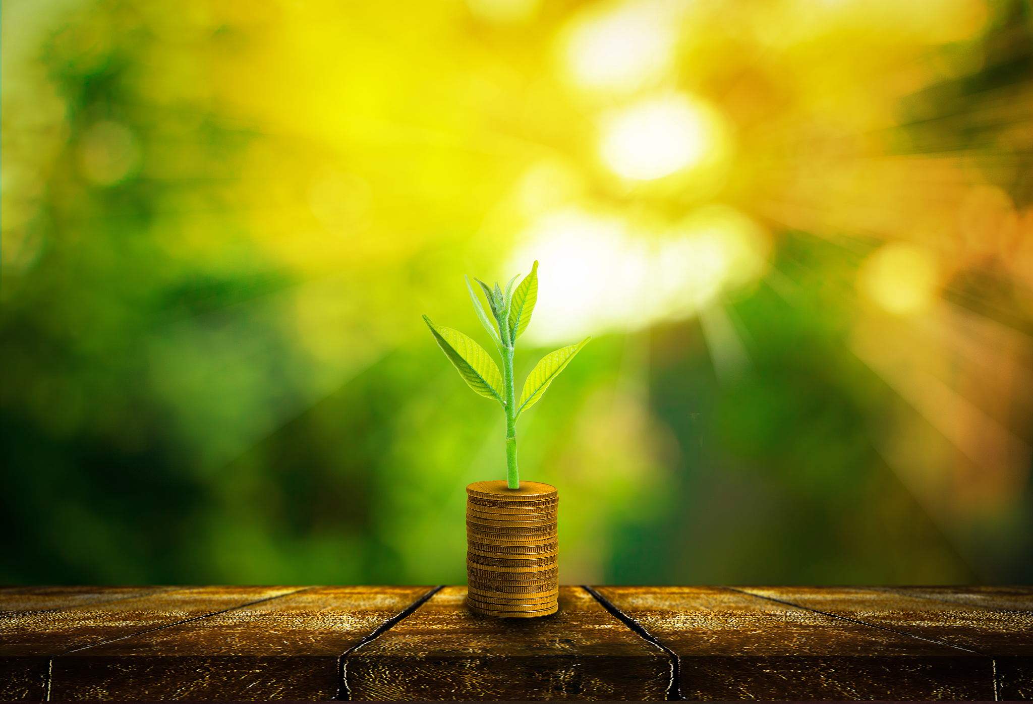 活到最后还可以怎么说