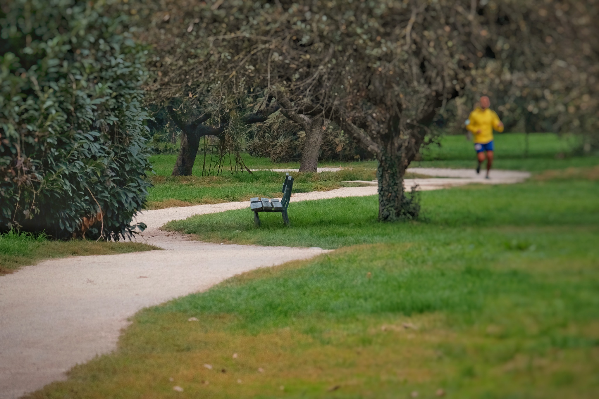 阳光明媚，适合户外活动！今天天气真好