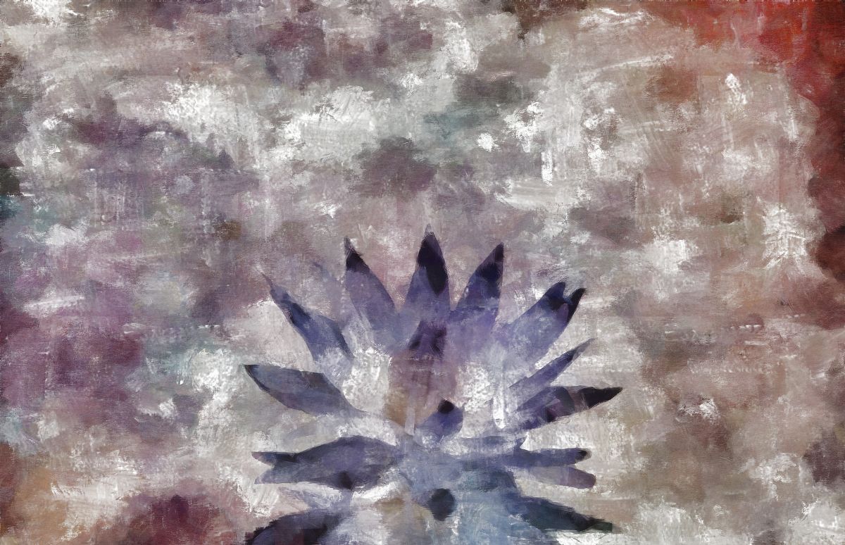 做一张关于荷花的丝网版画你有什么好的思路吗