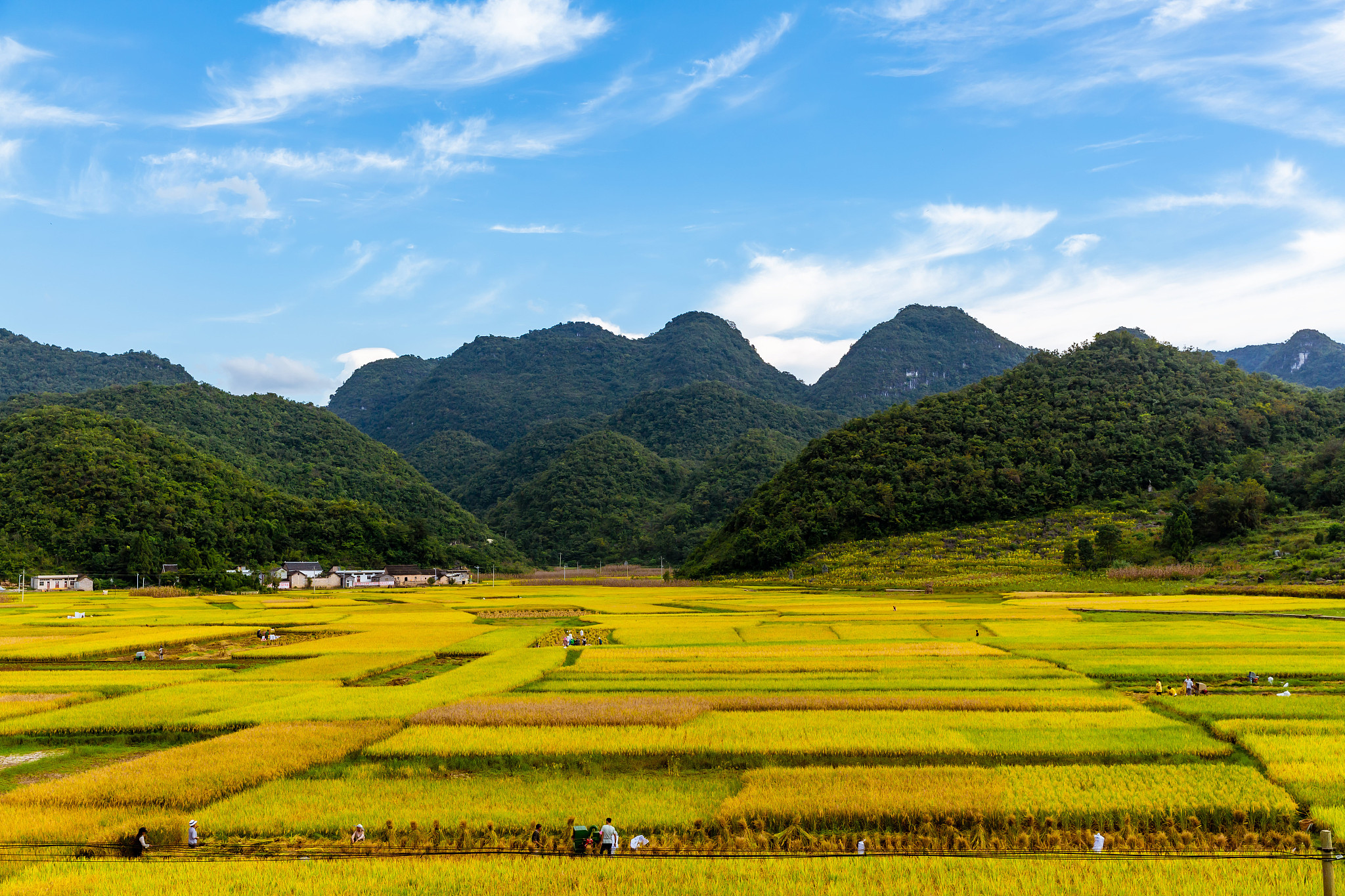 贵州农业机电学校2022年有哪些专业