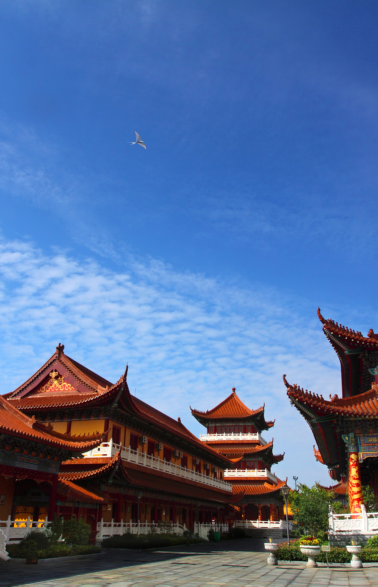 寺庙