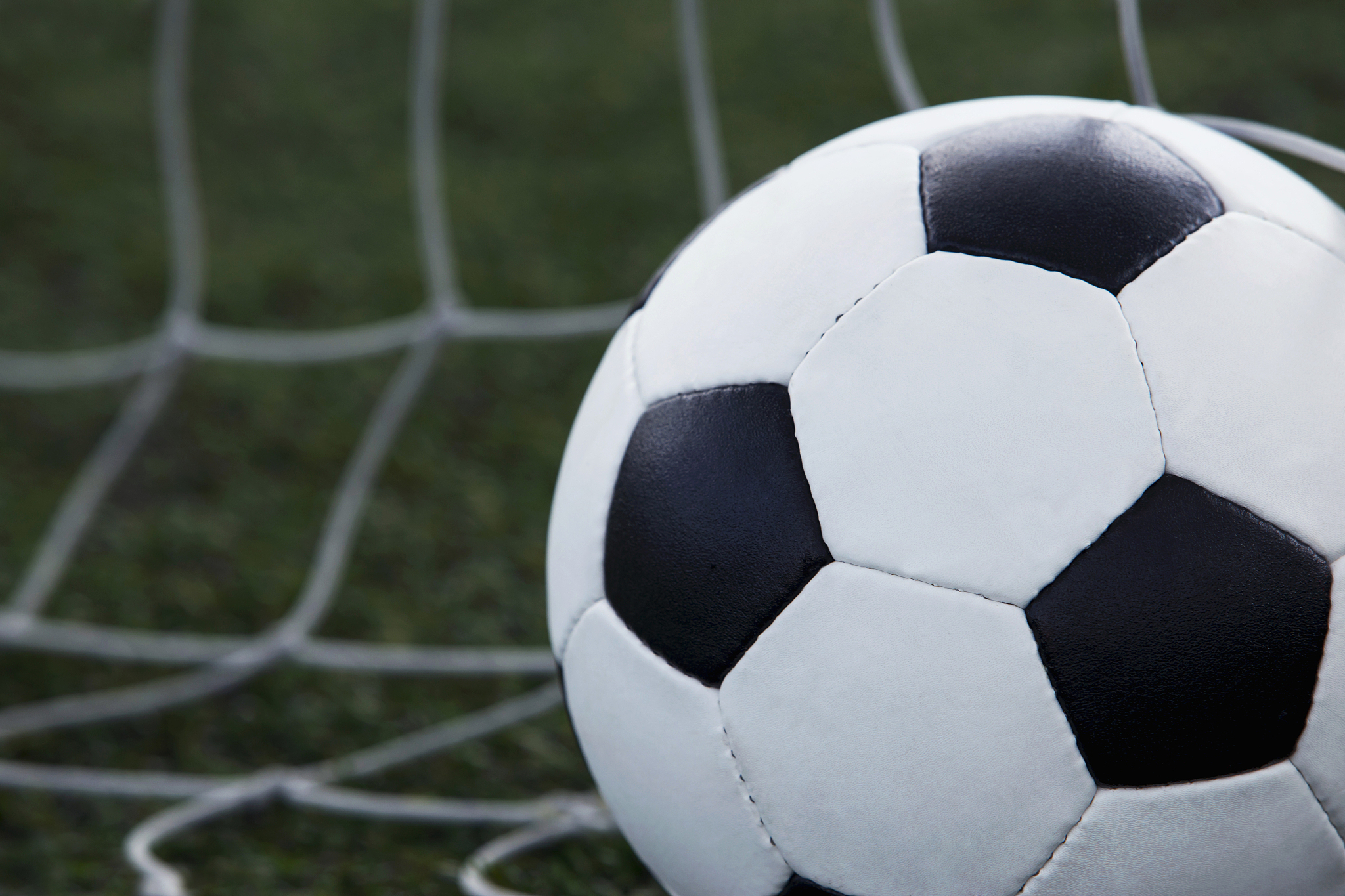 the soccer ball