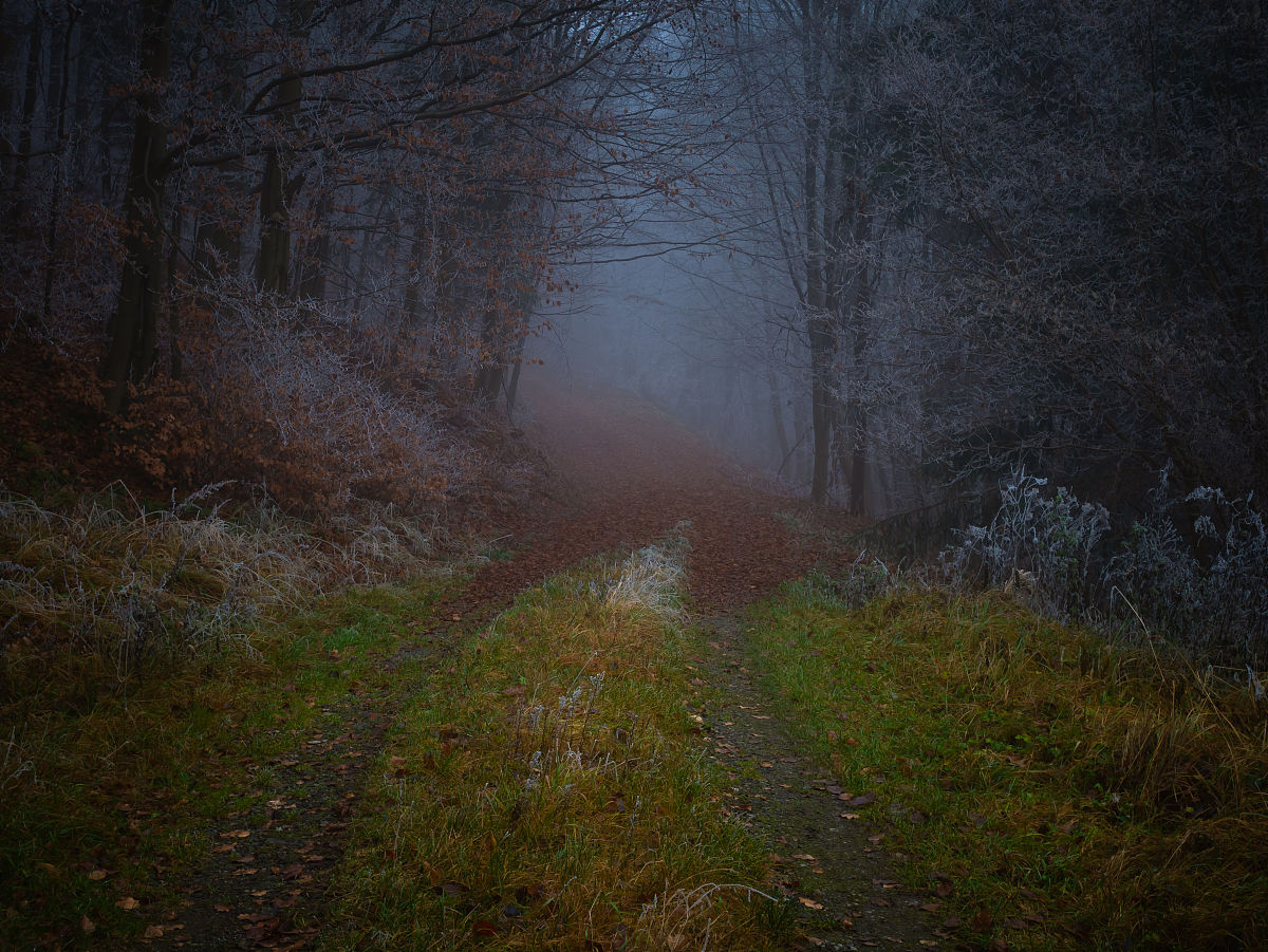 能为我搜索有关独立游戏艾希的信息吗