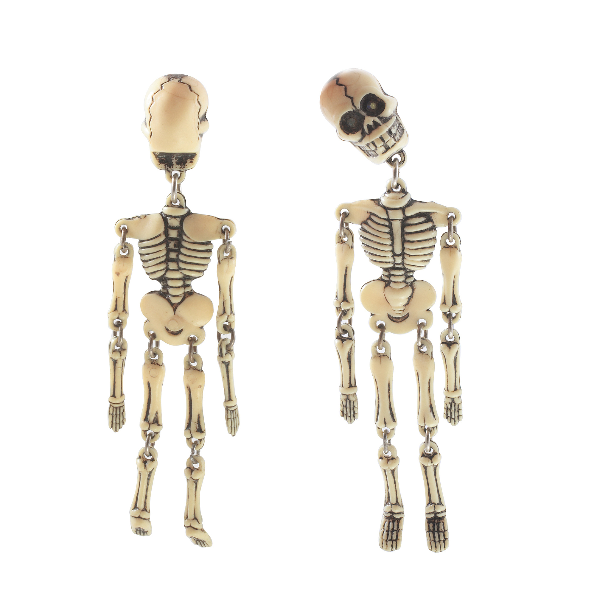 人体骨骼系统：206块骨头构成坚固的骨骼环