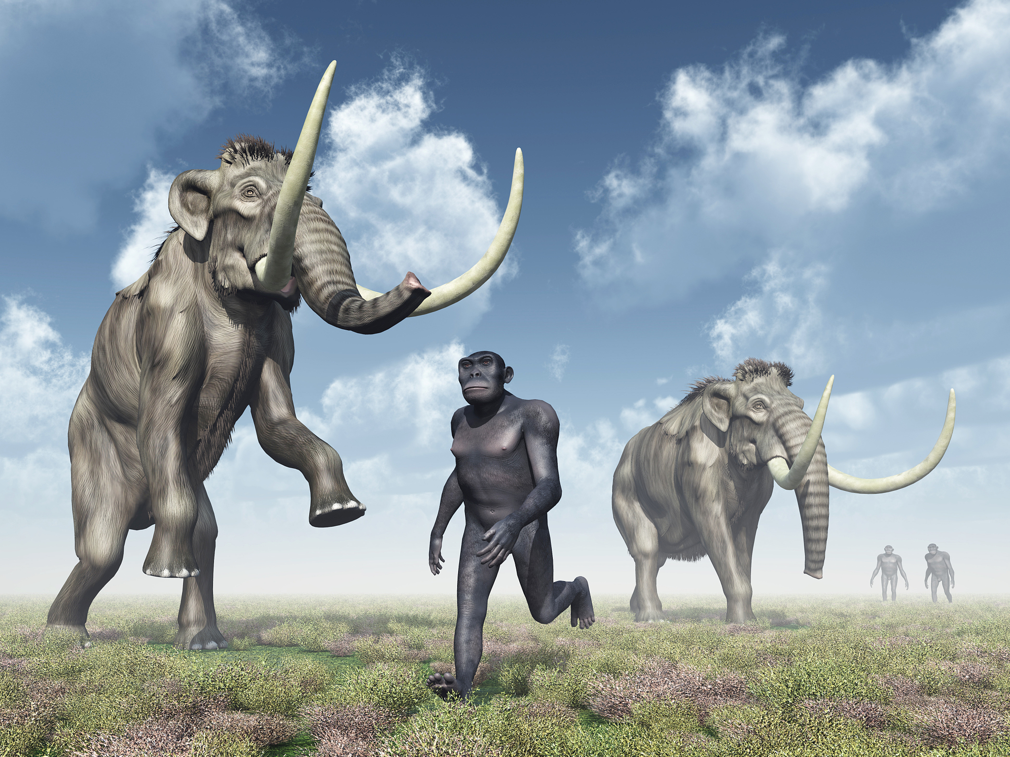 homo habilis and mammoths