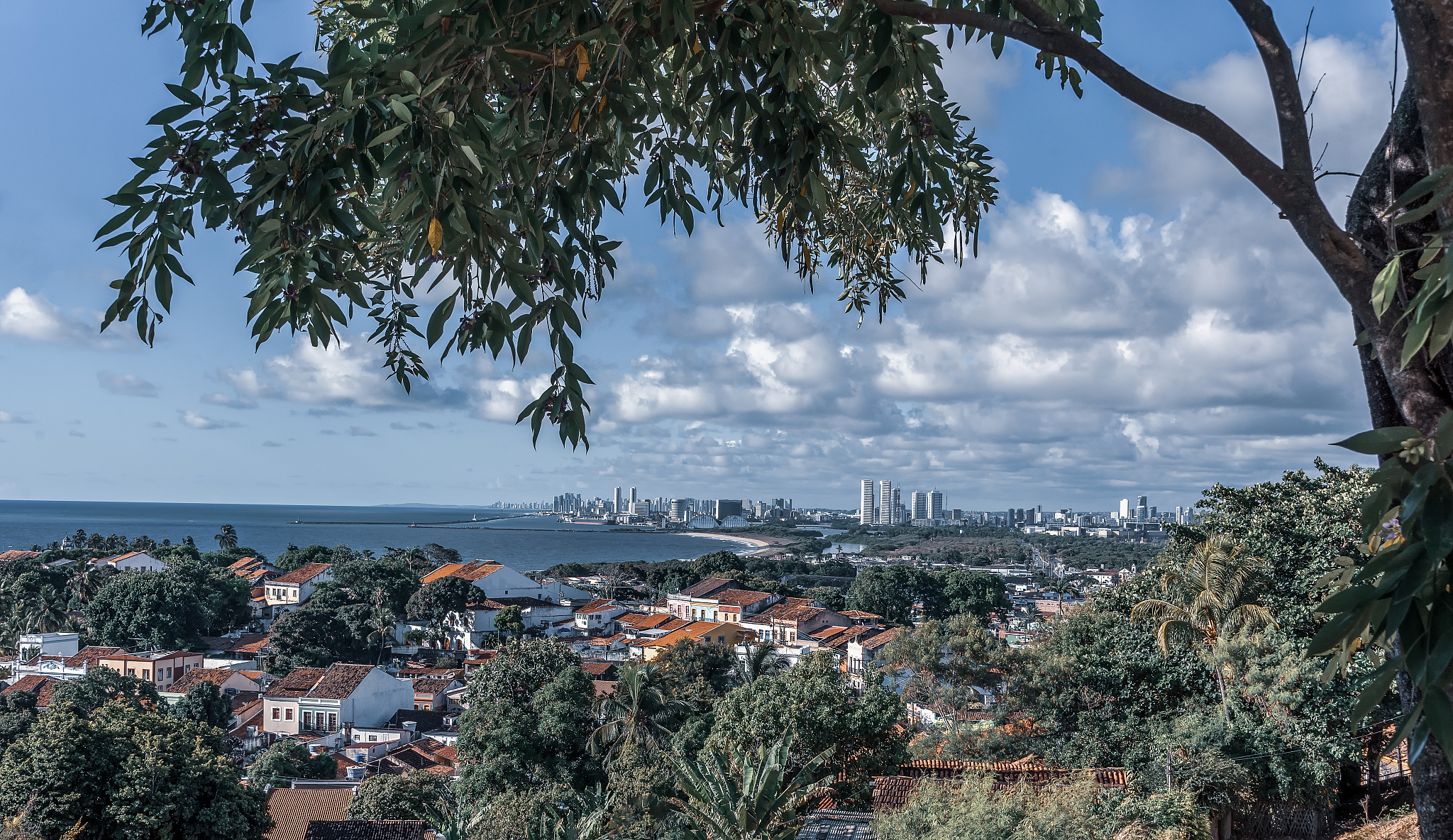 panoramic view from olinda city