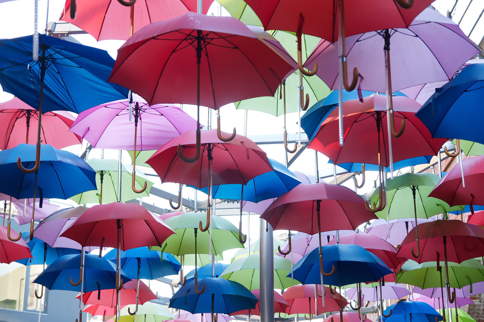numerous colorful umbrellas overhead