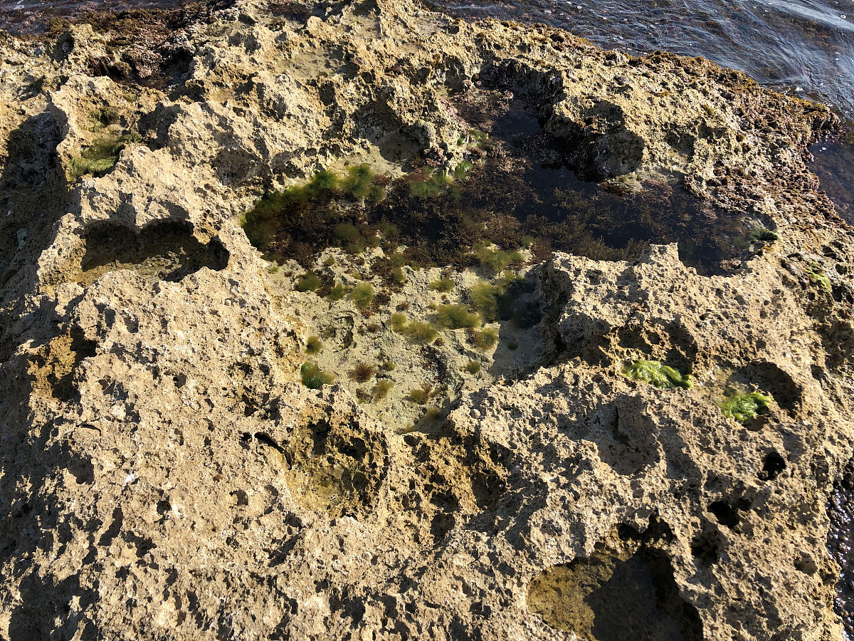 硫酸盐渍土冻融循环试验：盐-冻胀变形特性研究