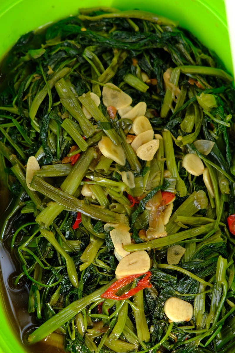 腌制香椿芽的做法_腌制香椿芽怎么做