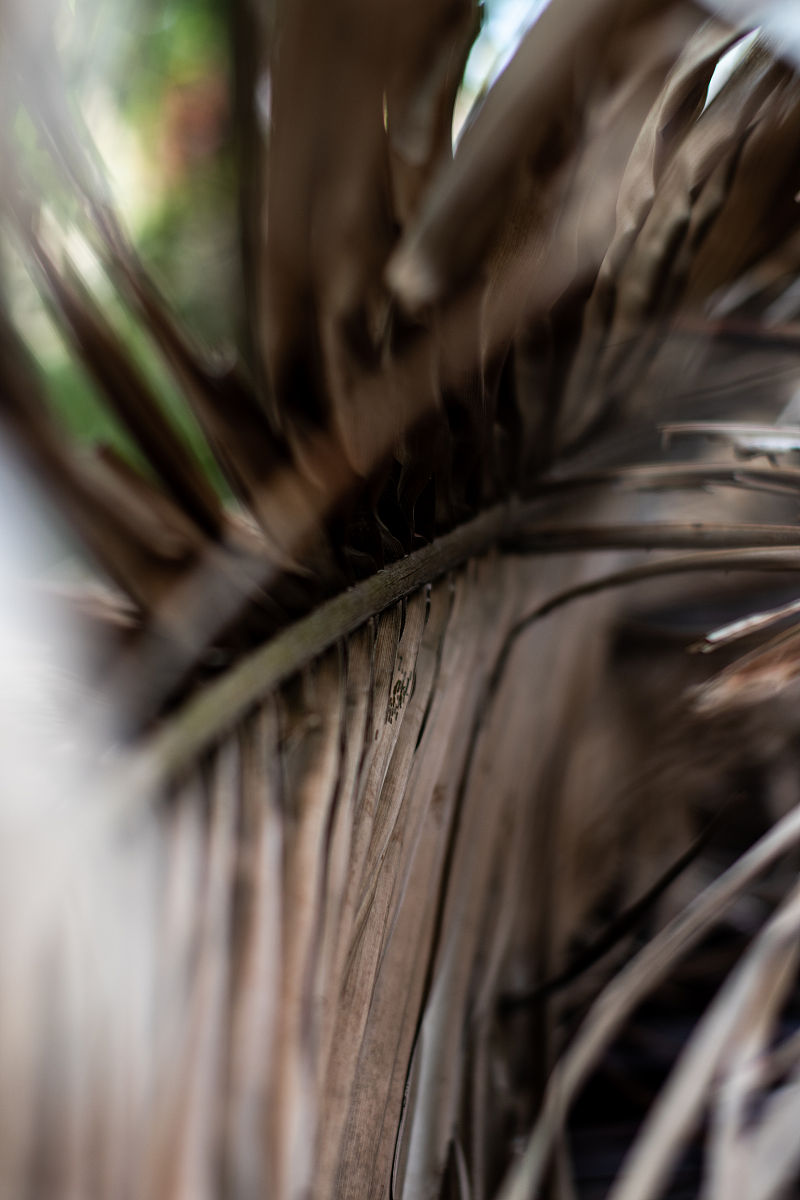 黑龙江农业工程职业学院单招有药剂专业吗