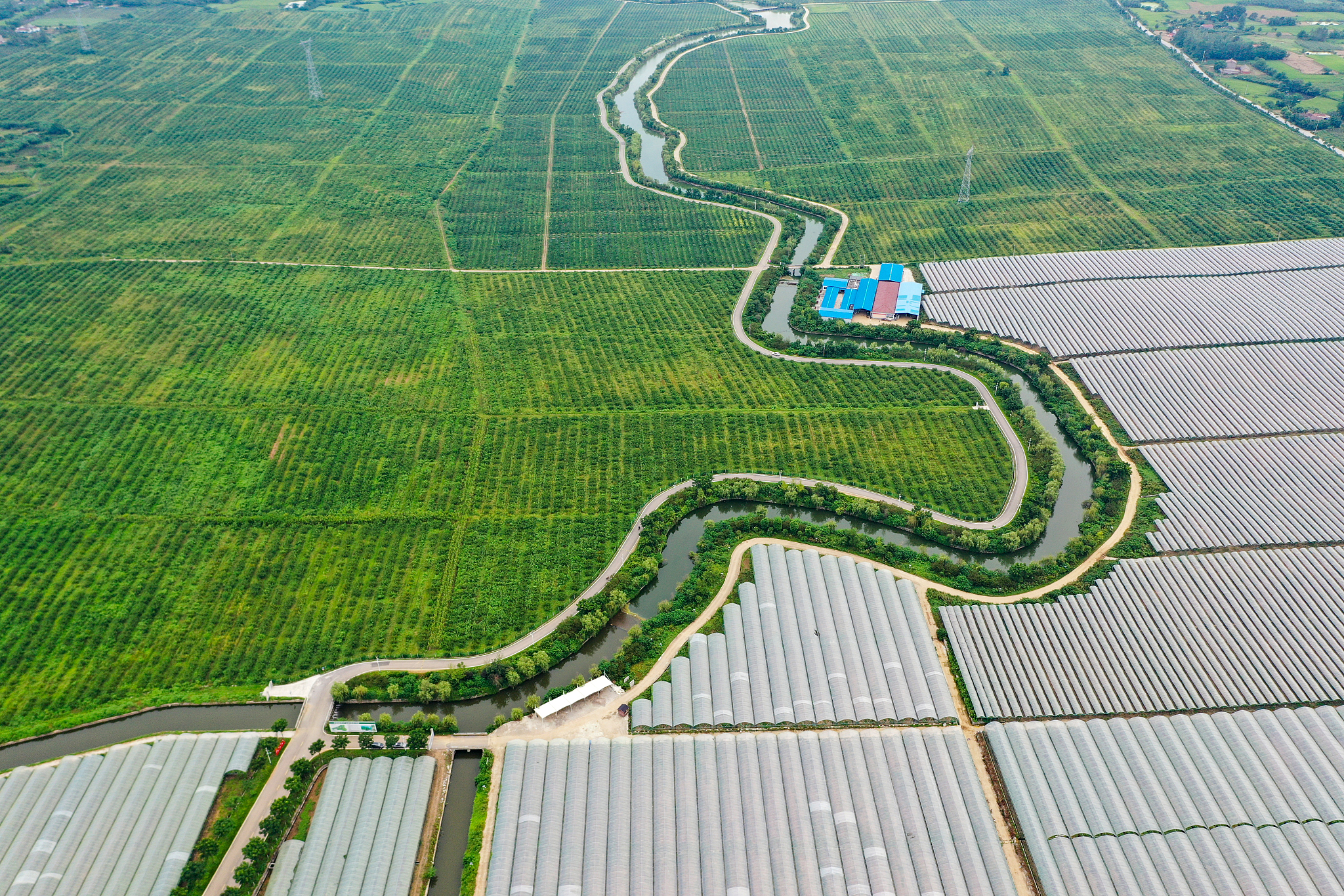 关于淇县加快发展乡村产业的思考与建议