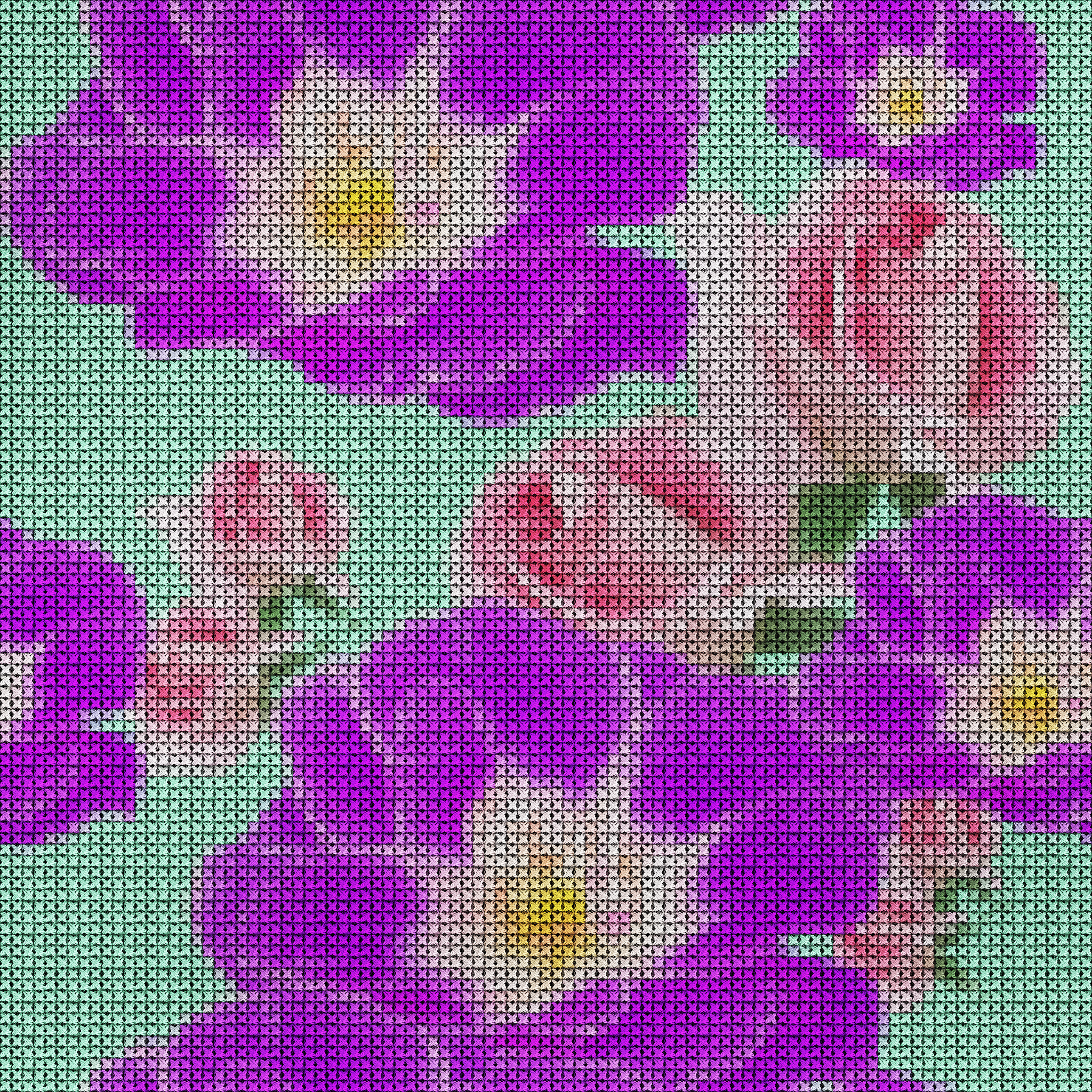 alice walker中文介绍