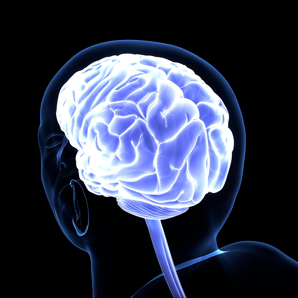 人类的情绪、欲望等是怎么产生的？用严谨的科学语言解释
