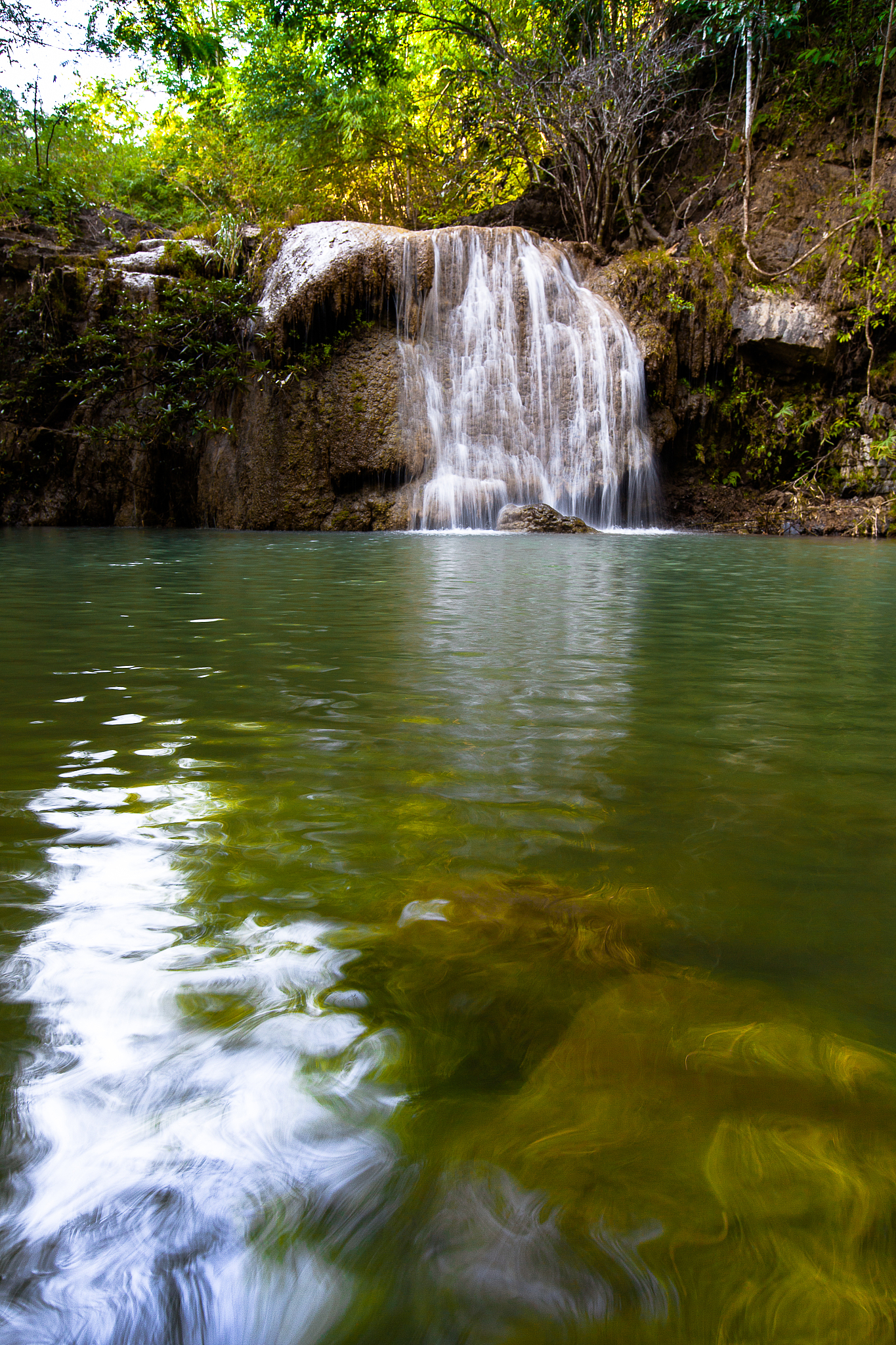 flowing river in forest.
