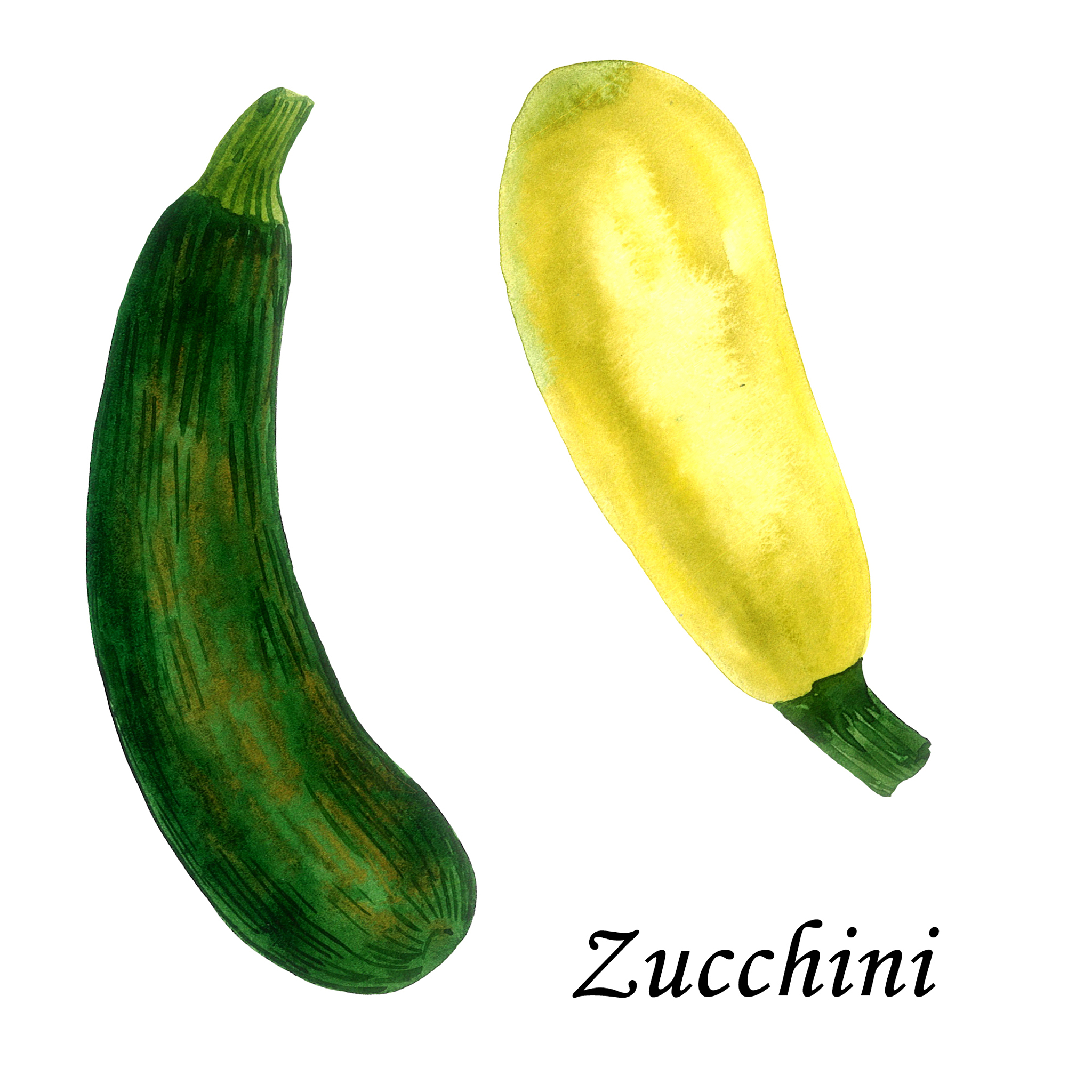 农业生产的特点：深入了解农业生产的7个关键特征