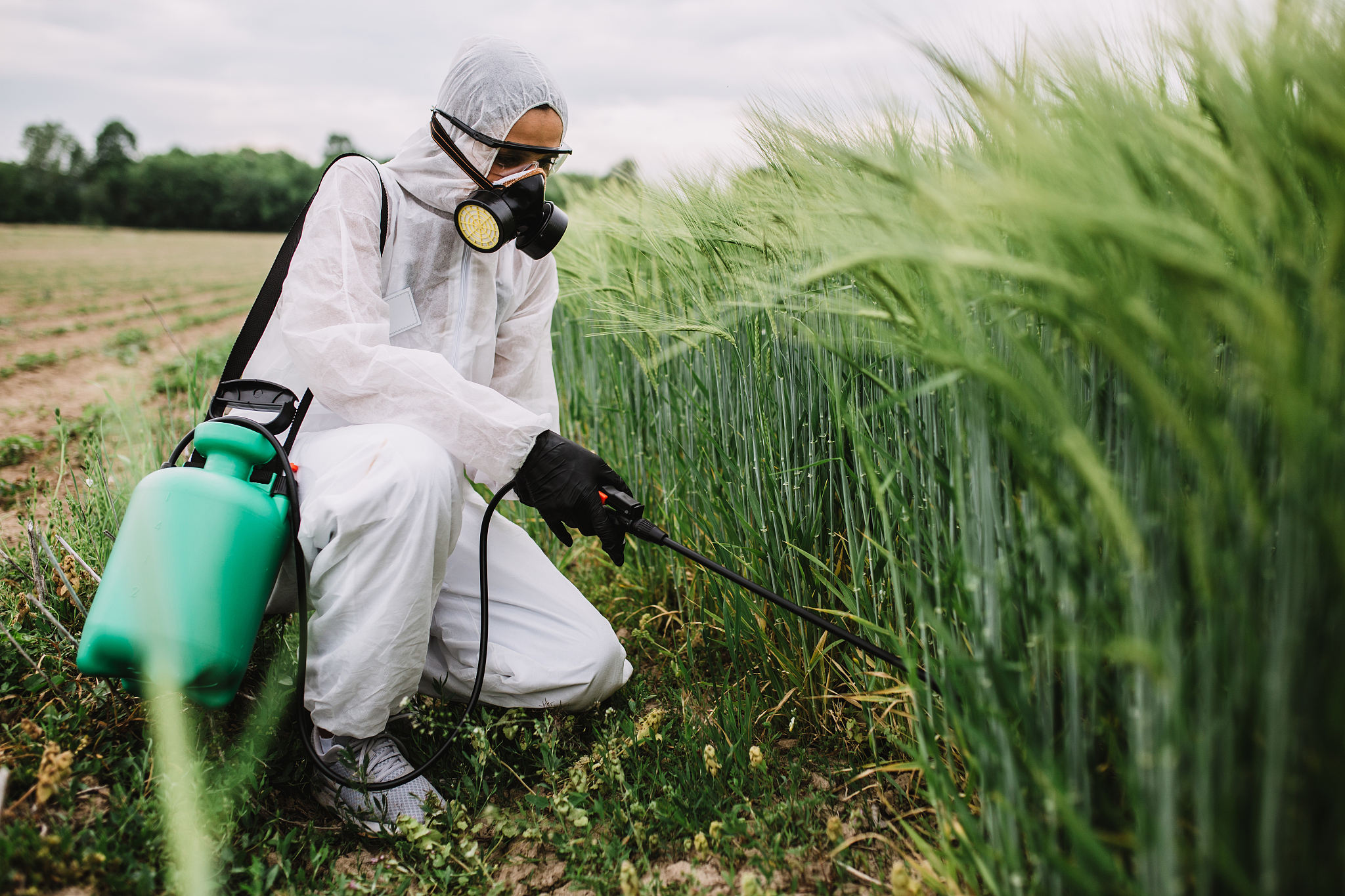 苏州农业职业技术学院生态农业技术专业就业前景分析