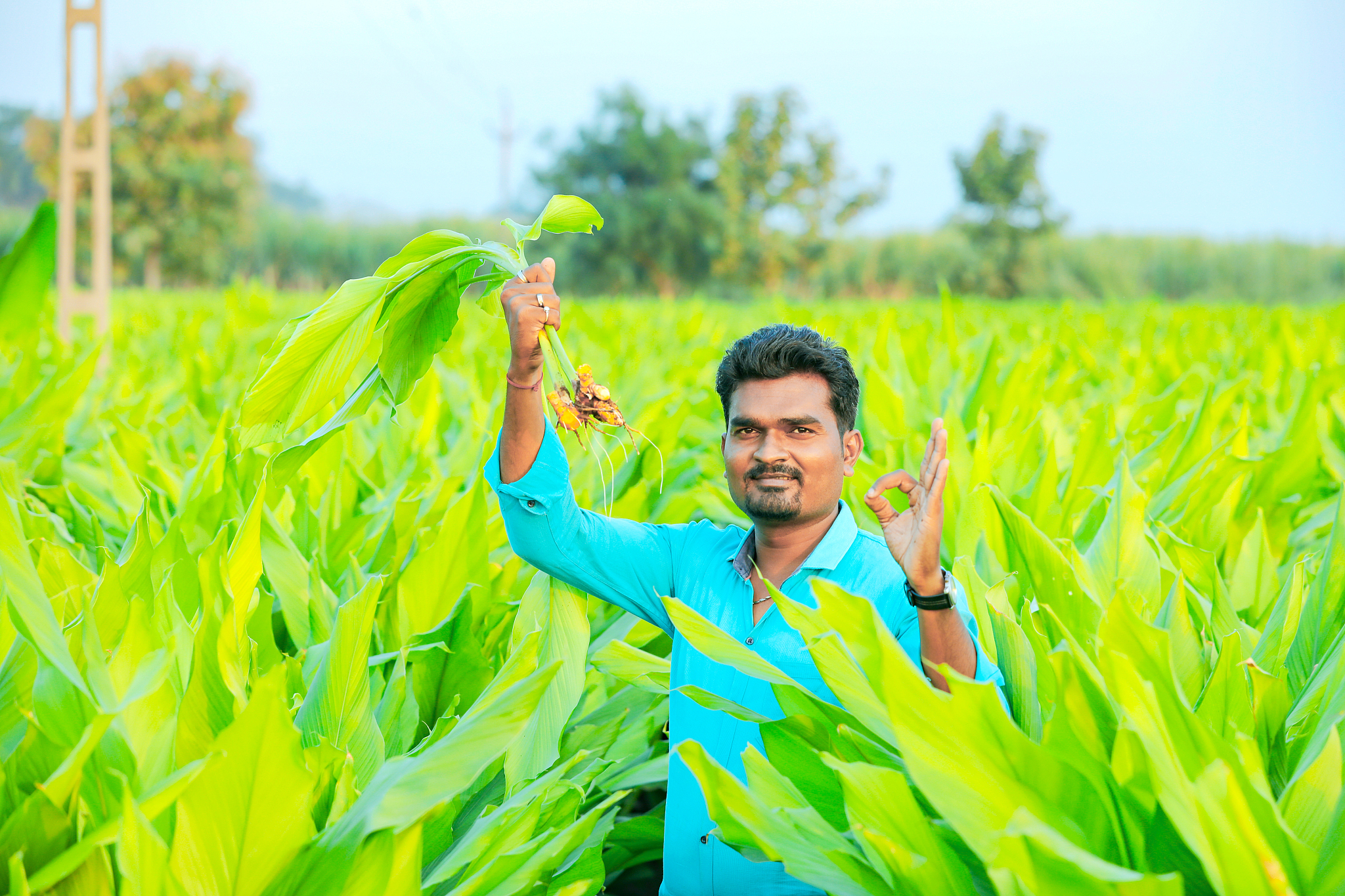 南阳农业学校热门专业有哪些