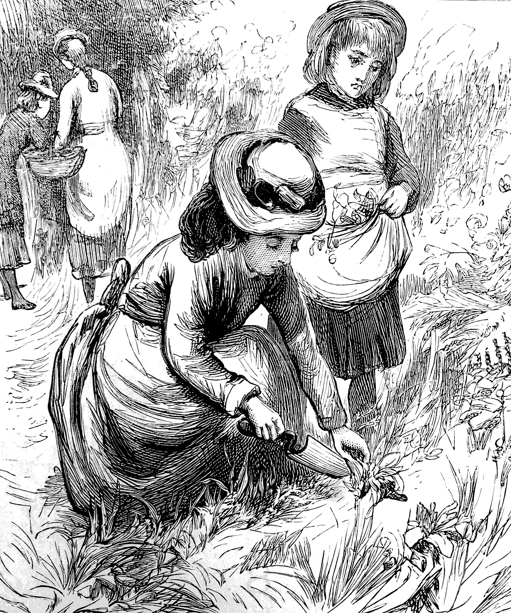 火凤燎原漫画剧情解析：吕布传奇与武林争霸