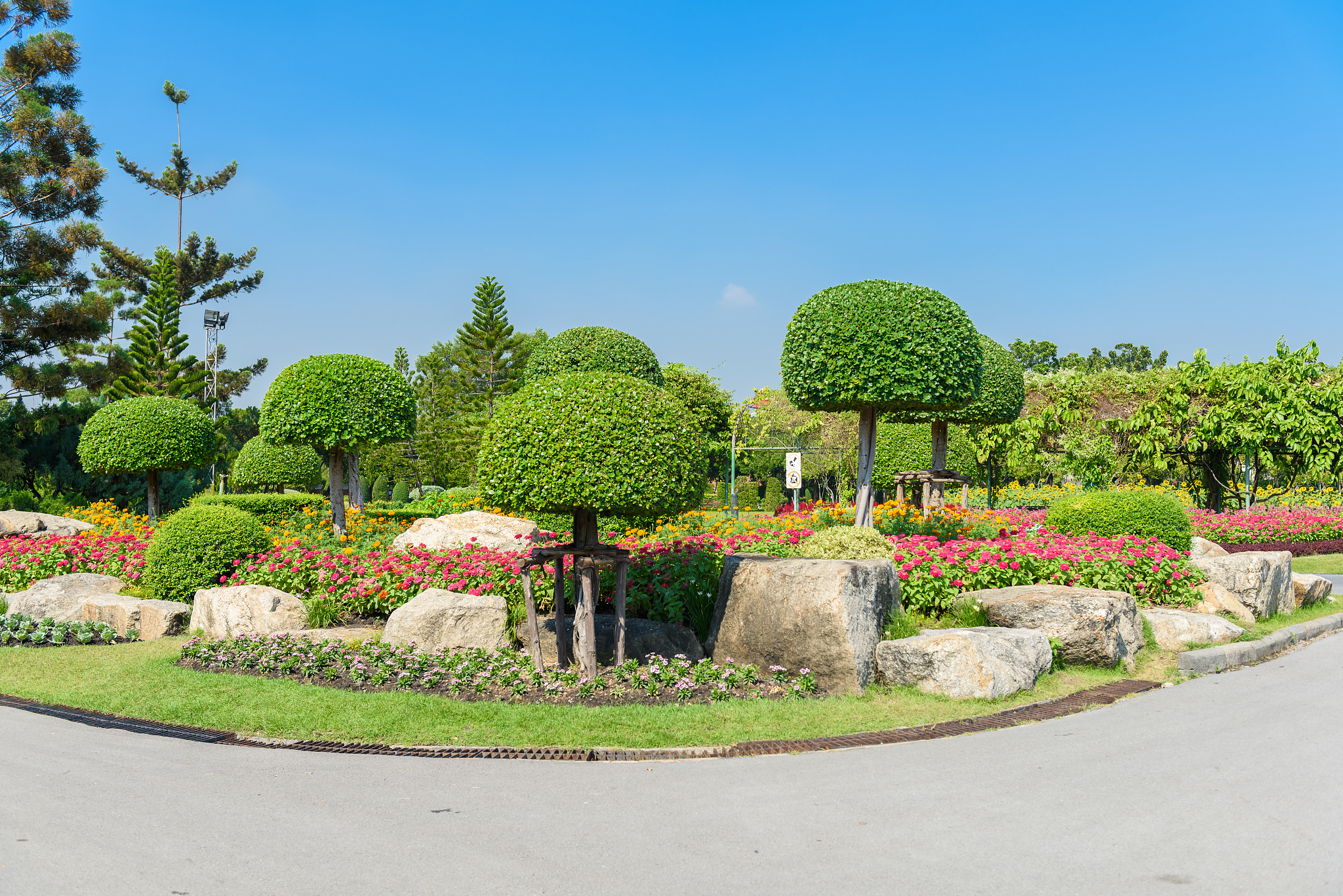 关于西安东三环路绿化植物配置中存在道路绿化设计缺乏科学性规范性的问题不少于600字。