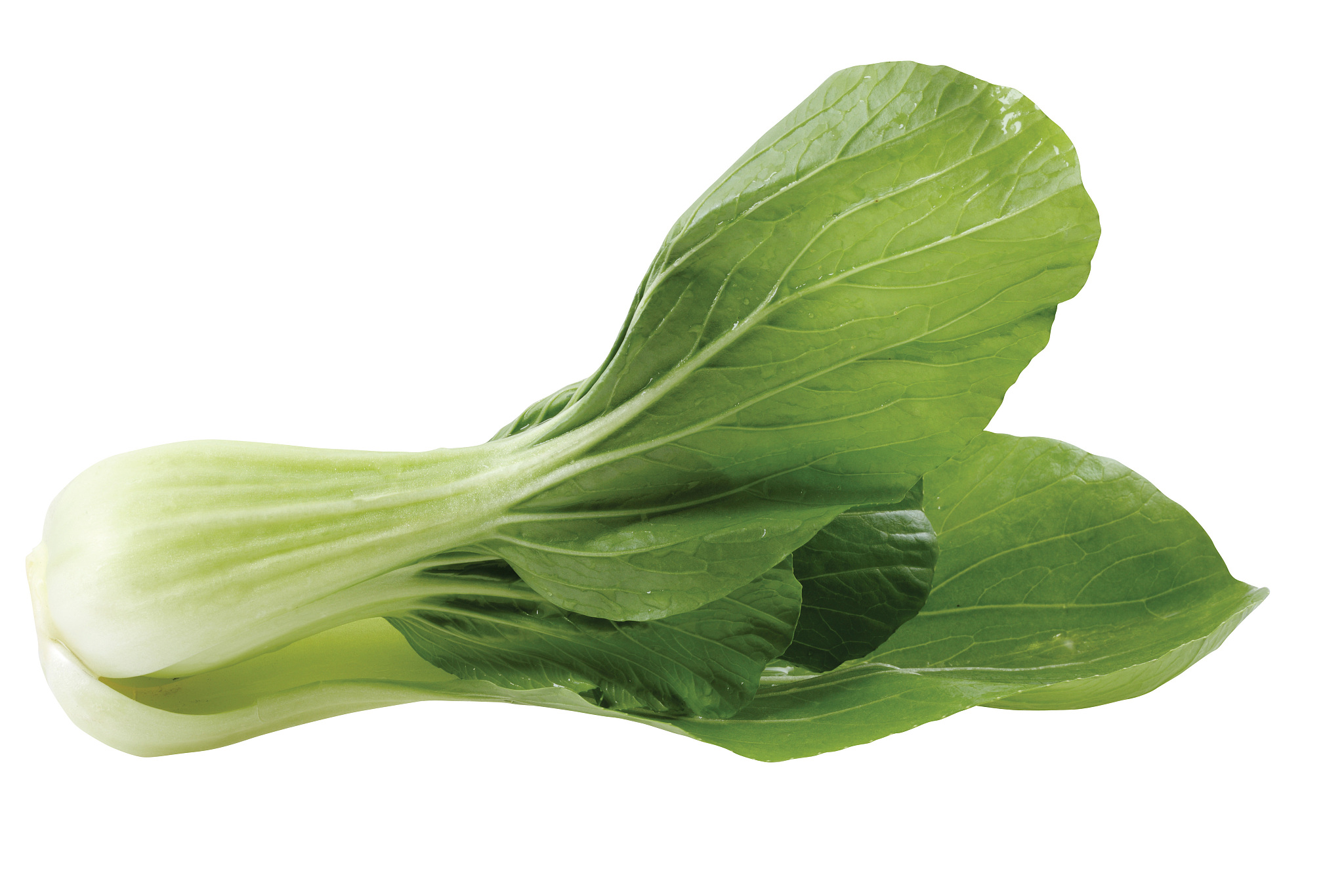 水果猎人3D手游更新日志