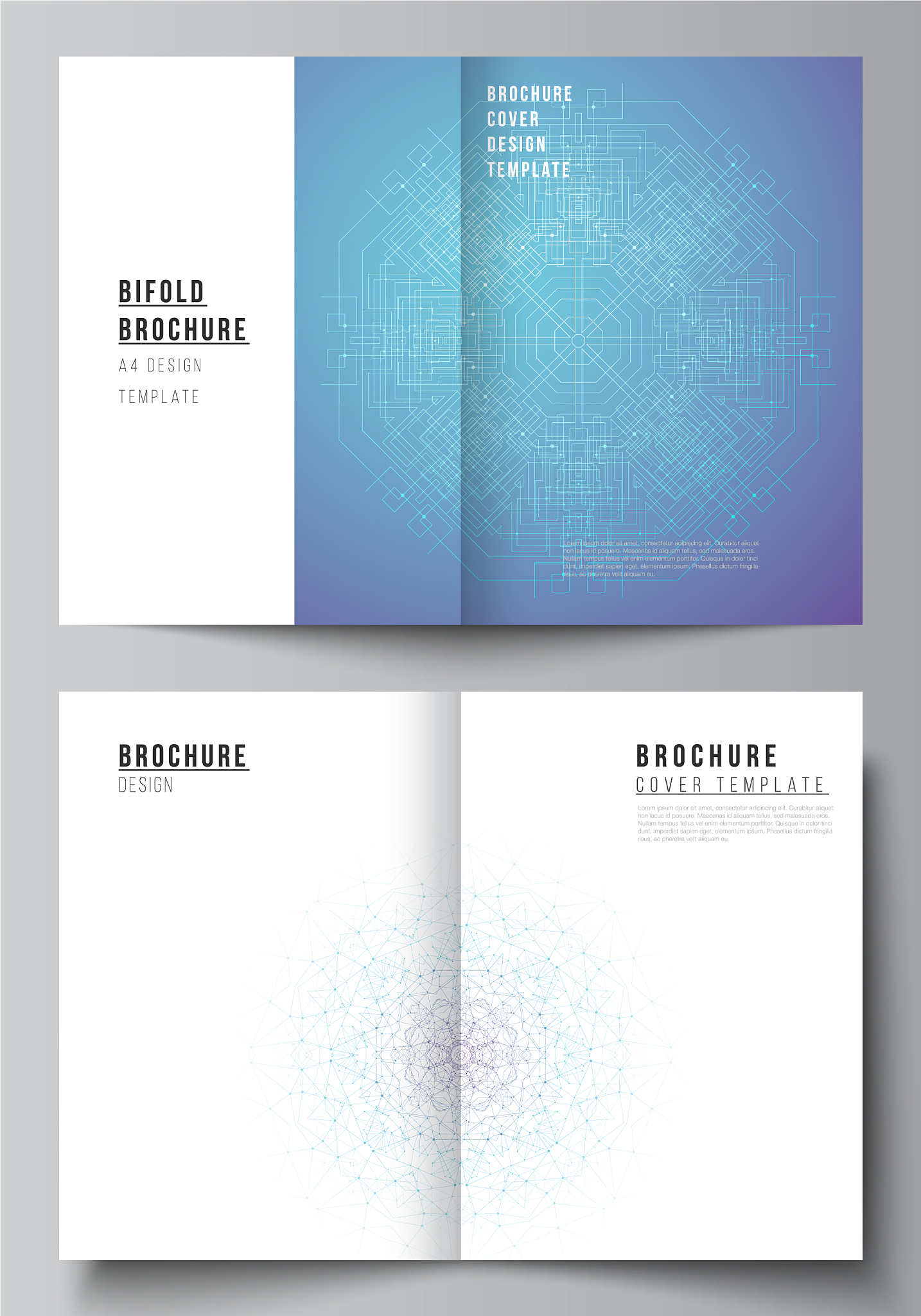 layout two a4 format modern cover