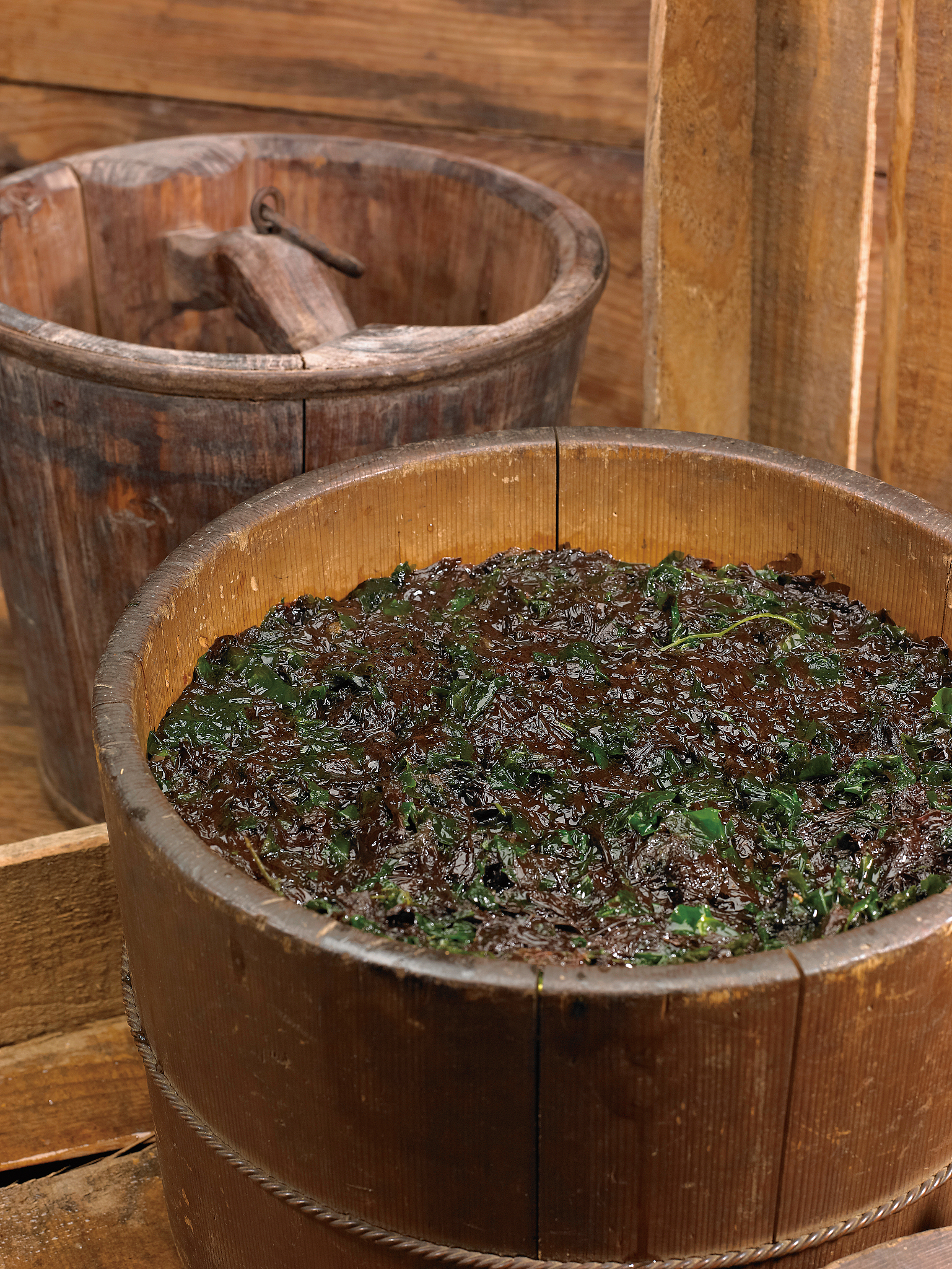 grilled,seaweed,packed,korean food