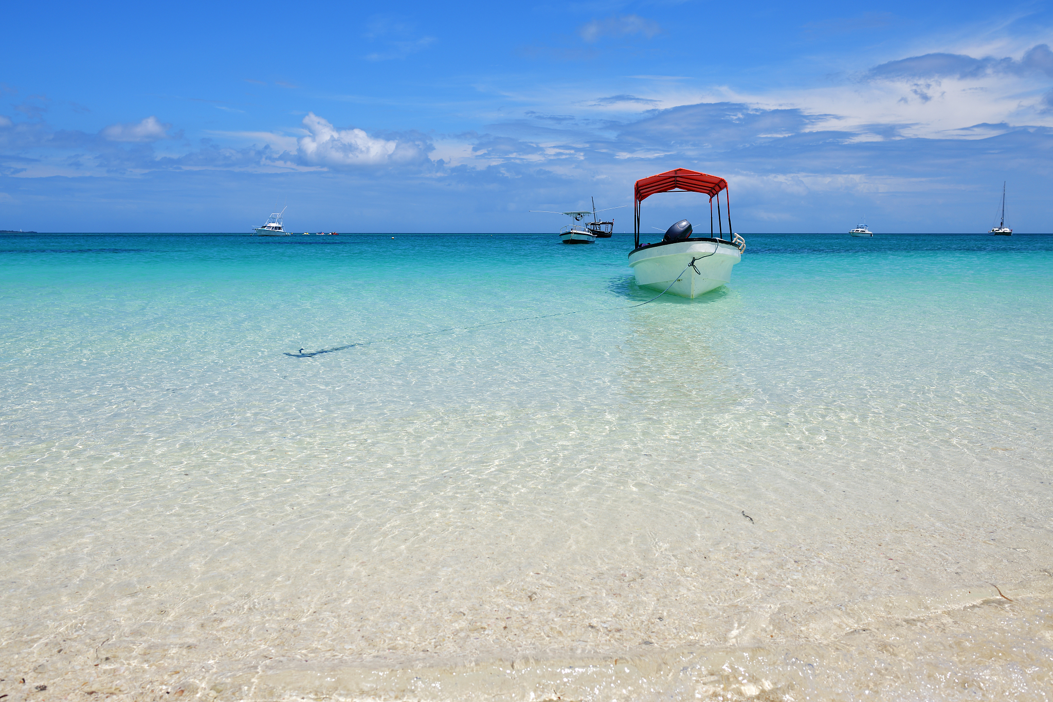 zanzibar, tanzania, africa. kendwa beach