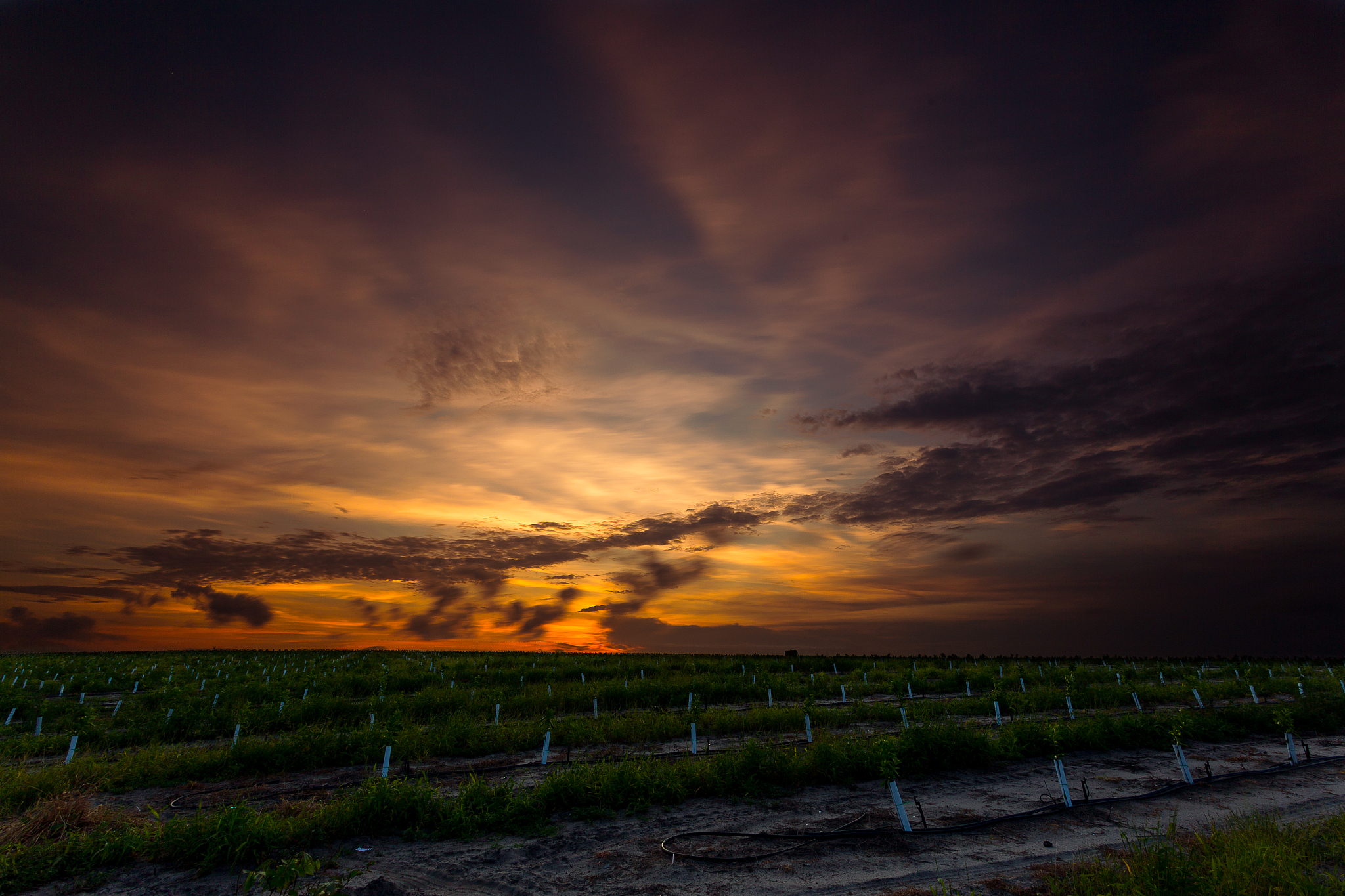 北京农学院农业资源与环境专业怎么样？特色、师资、就业前景解析