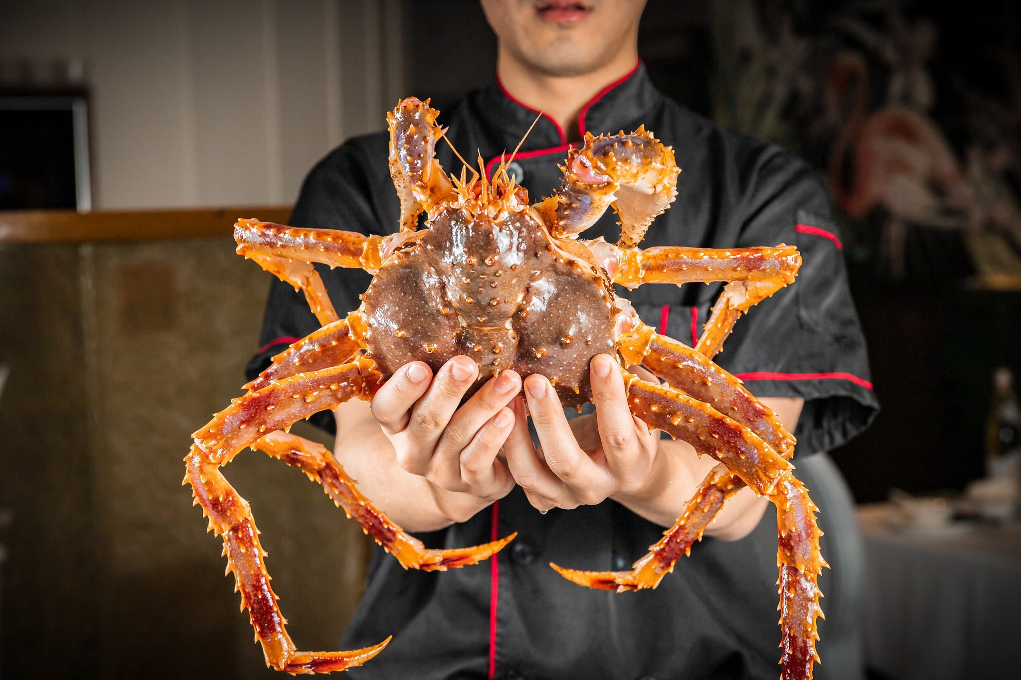 谈谈帝王蟹的所有知识点