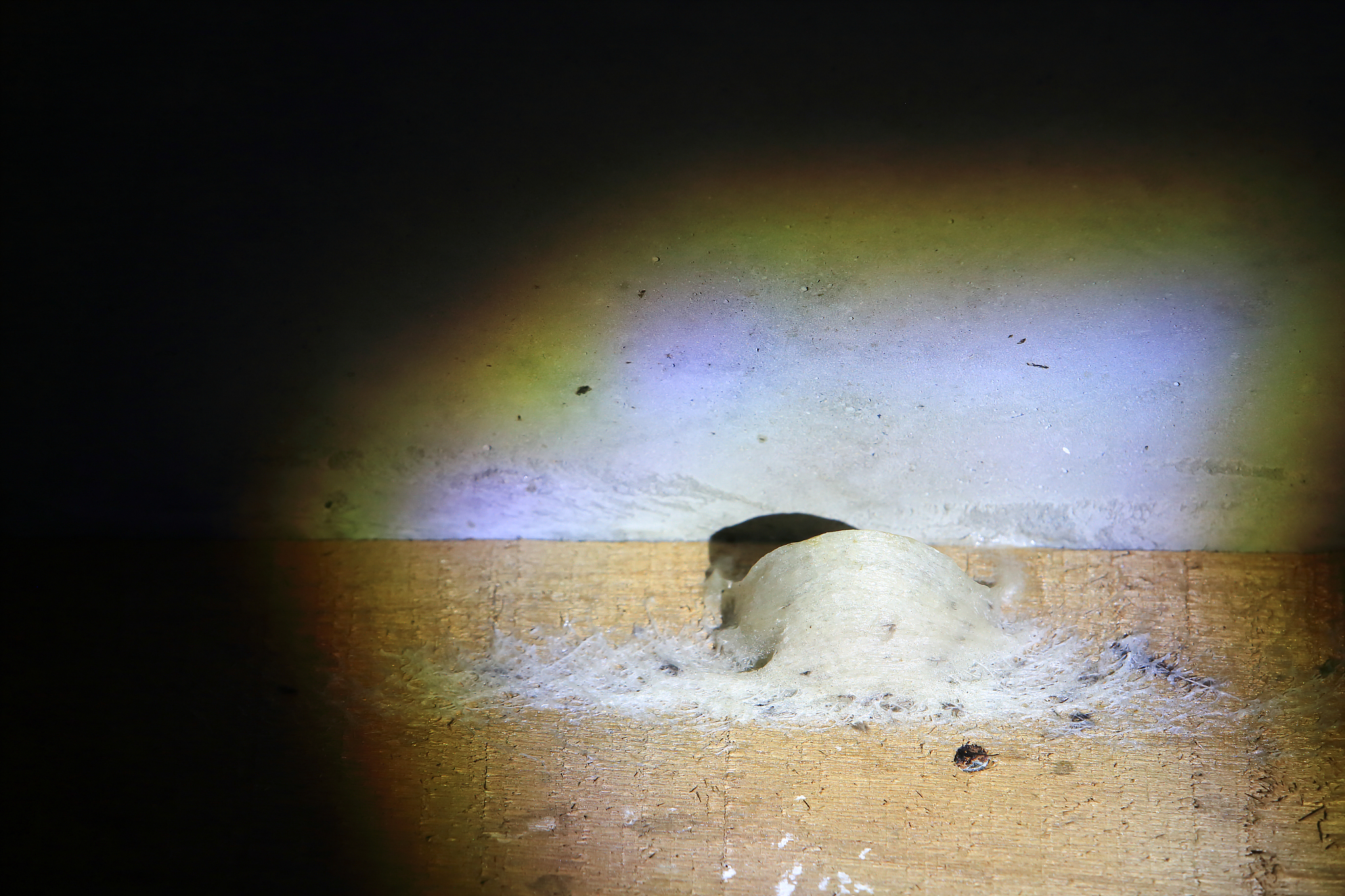 燕窝 vs 鸡蛋：哪个更营养？