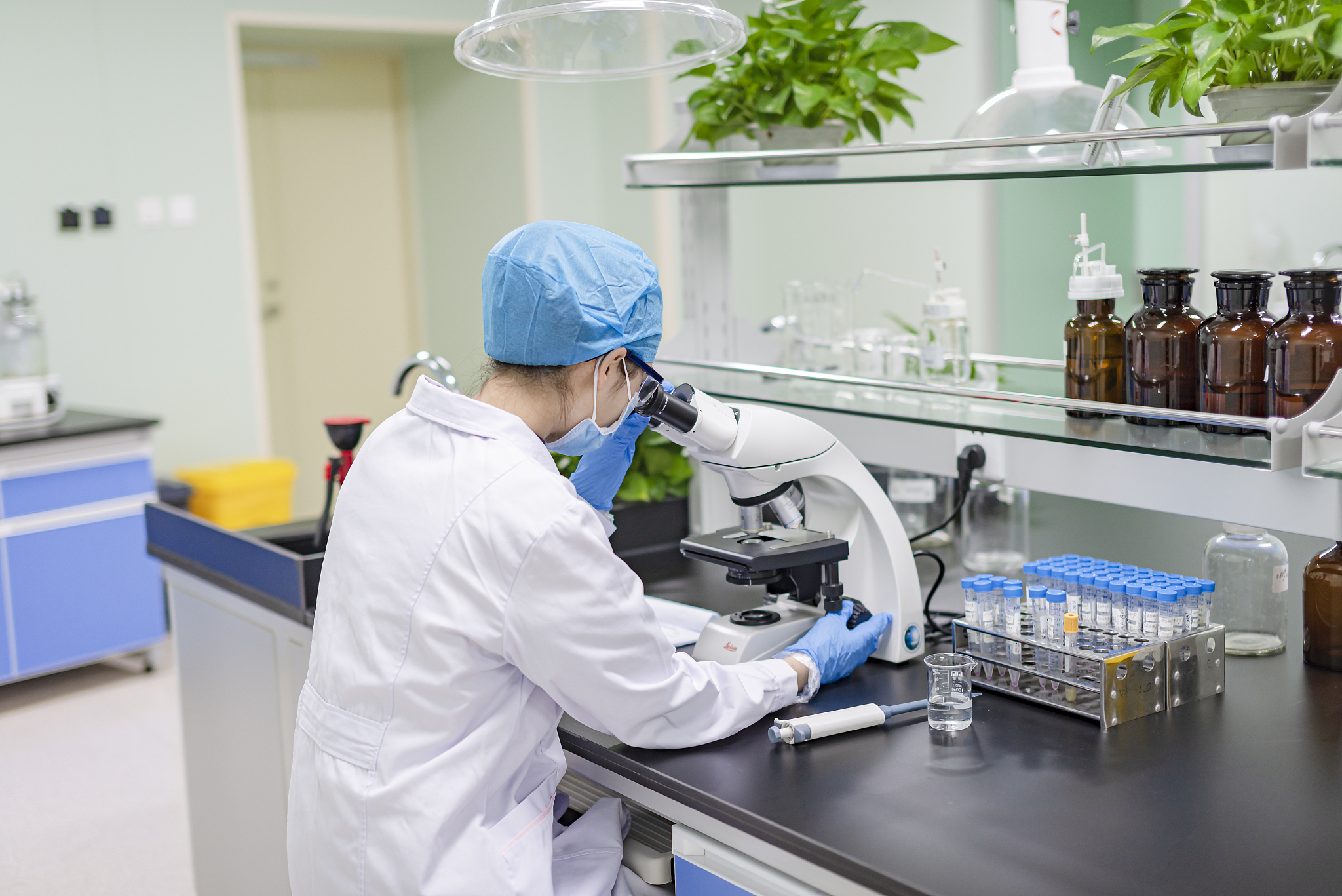 实验室工程师评审