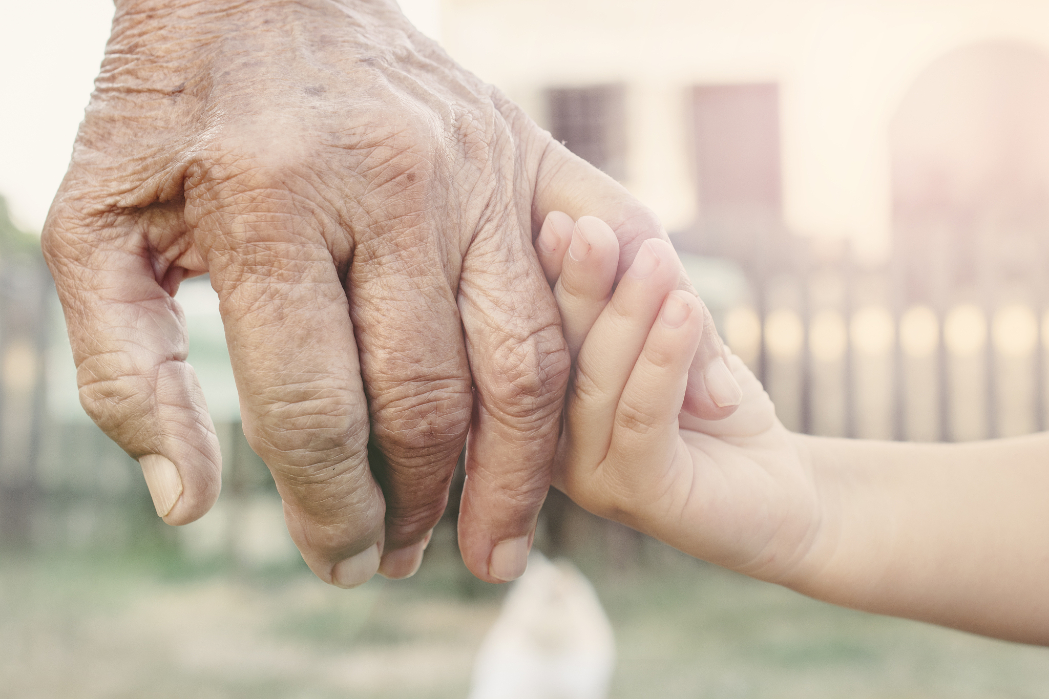 young hand holding grandparent