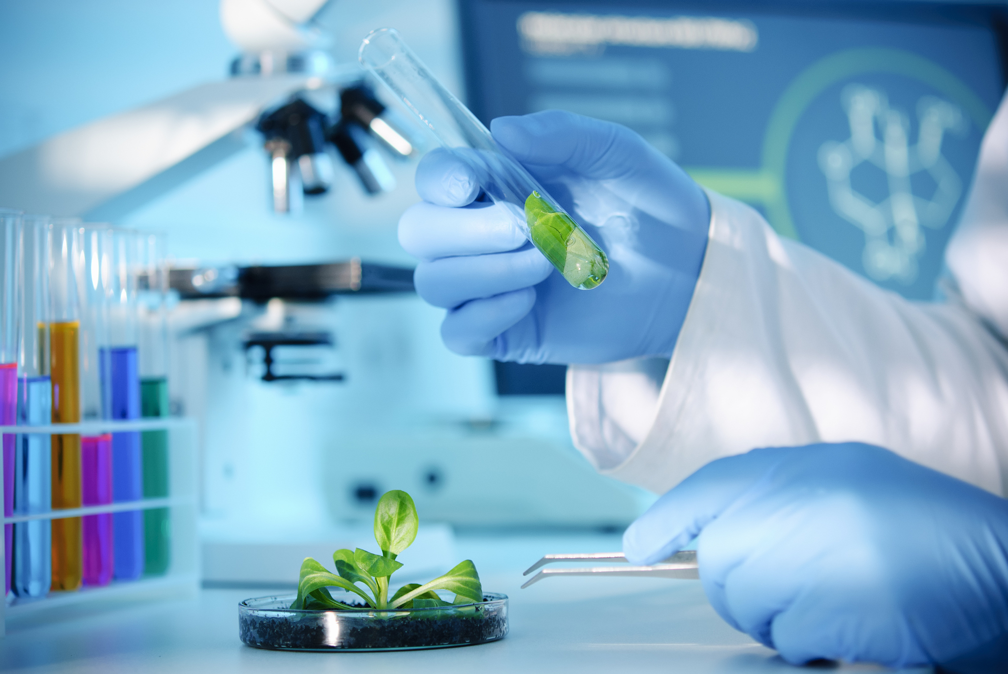 生物教育专业前景分析：就业、研究方向及发展趋势