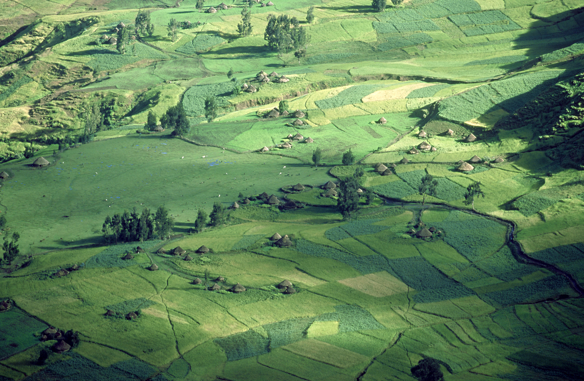 landscape: simien mountains, ethiopia