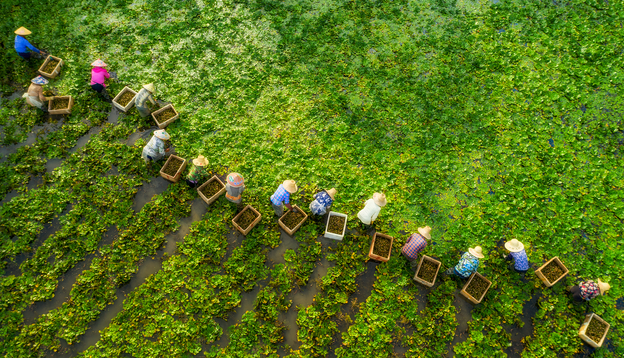 江西农业工程职业学院饲料与动物营养专业如何好学吗